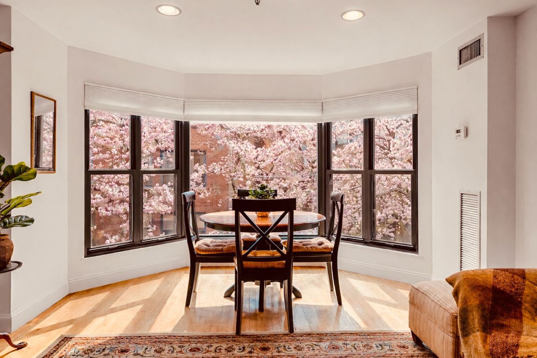 16 Harcourt St Unit# 3D