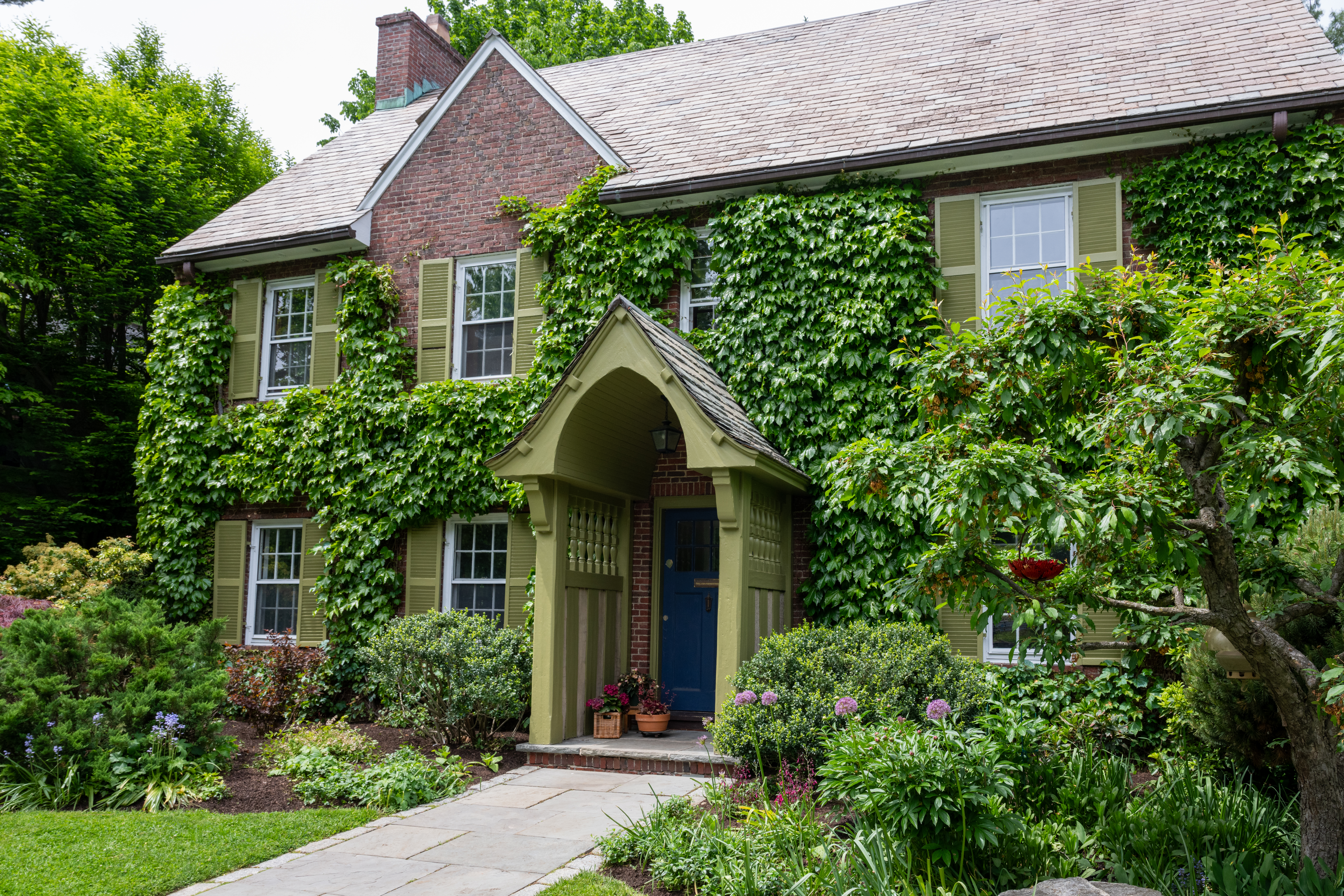 73 Francis Avenue 