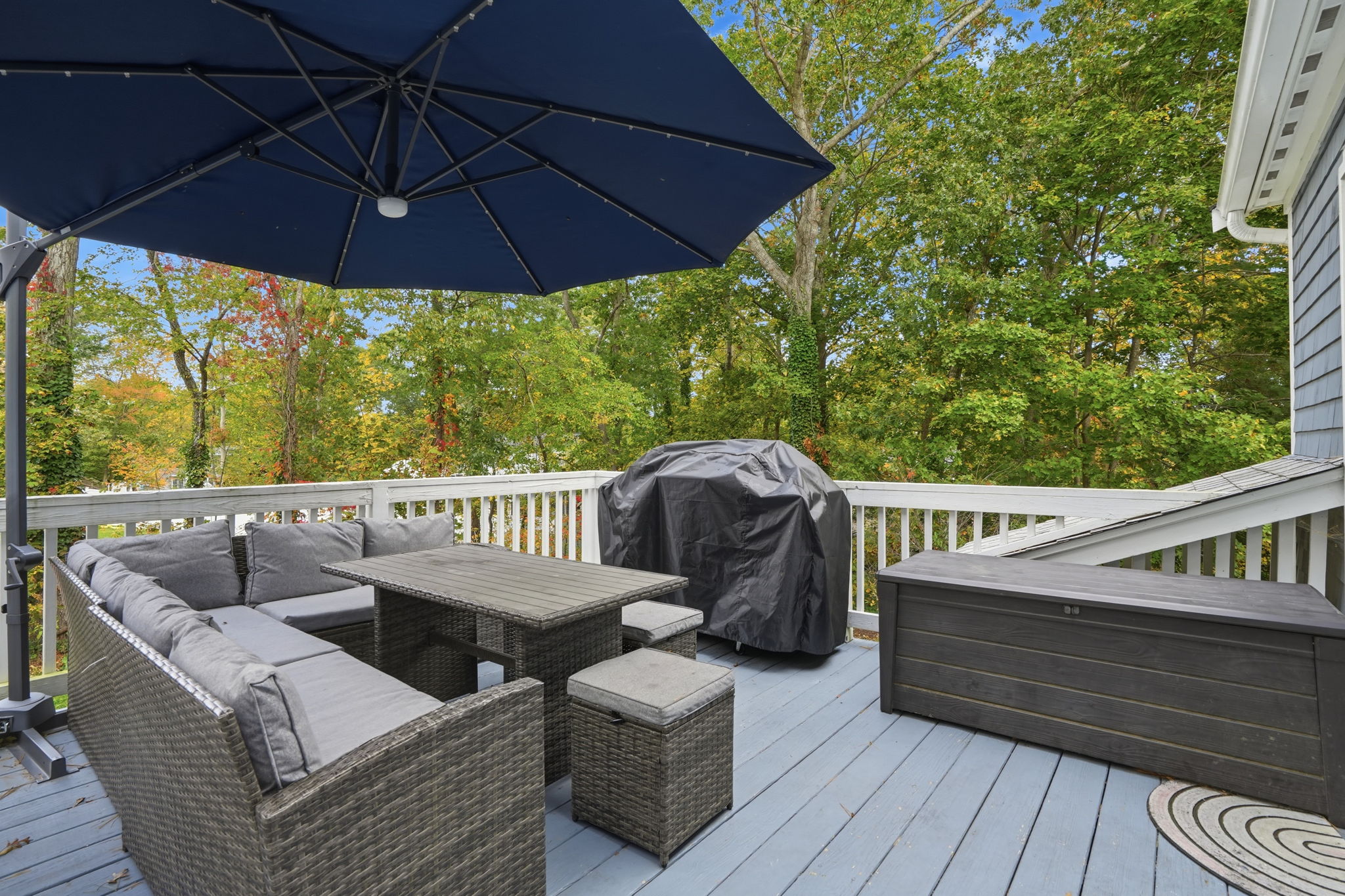 50 Blackmount Drive