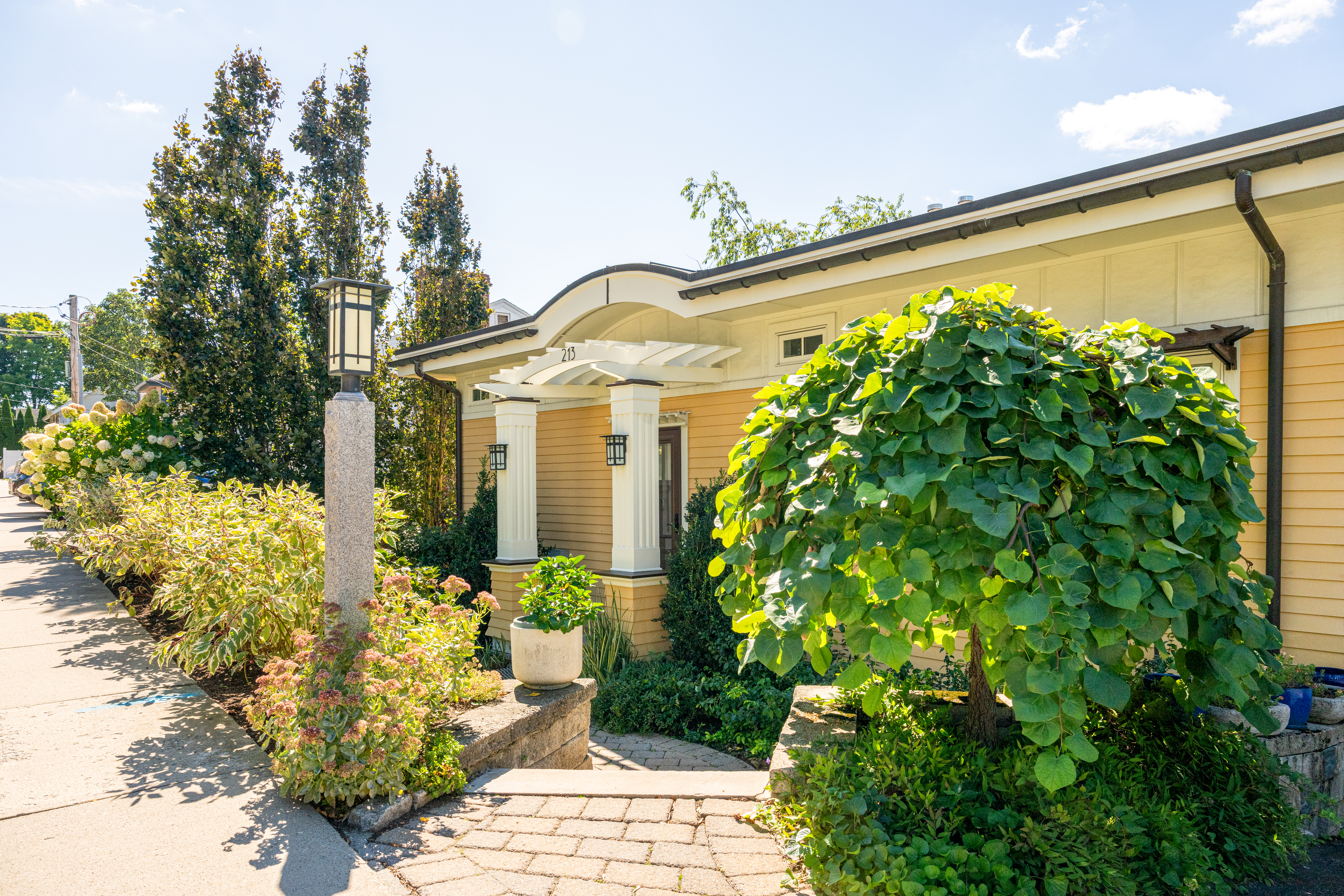 213 Palfrey Street 