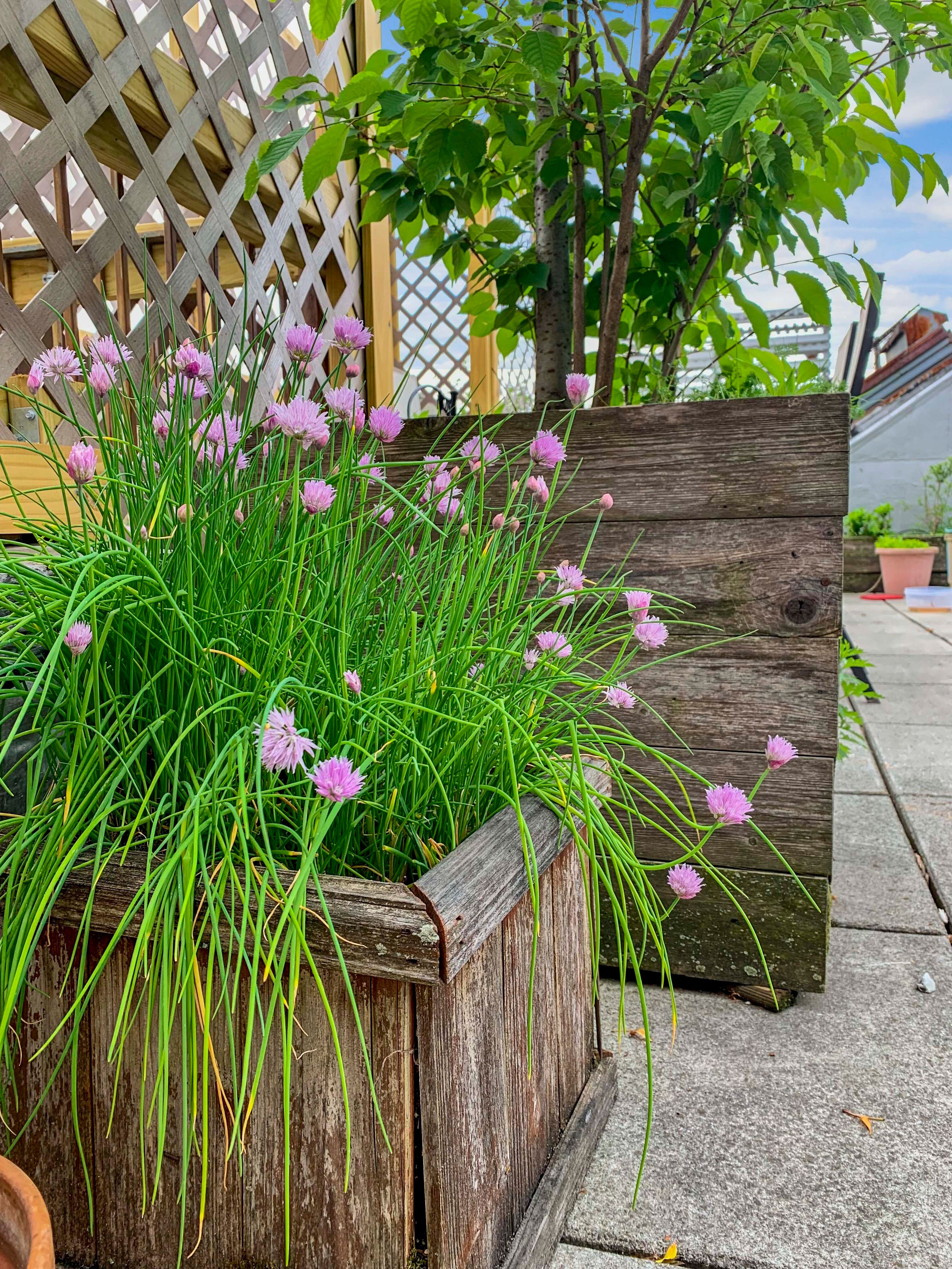 413 State Street , 2