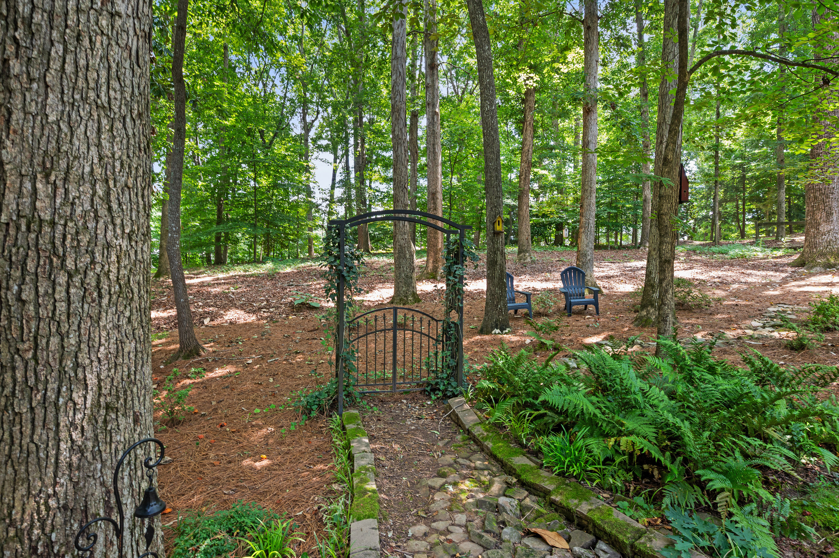 11740 Mountain Laurel Drive