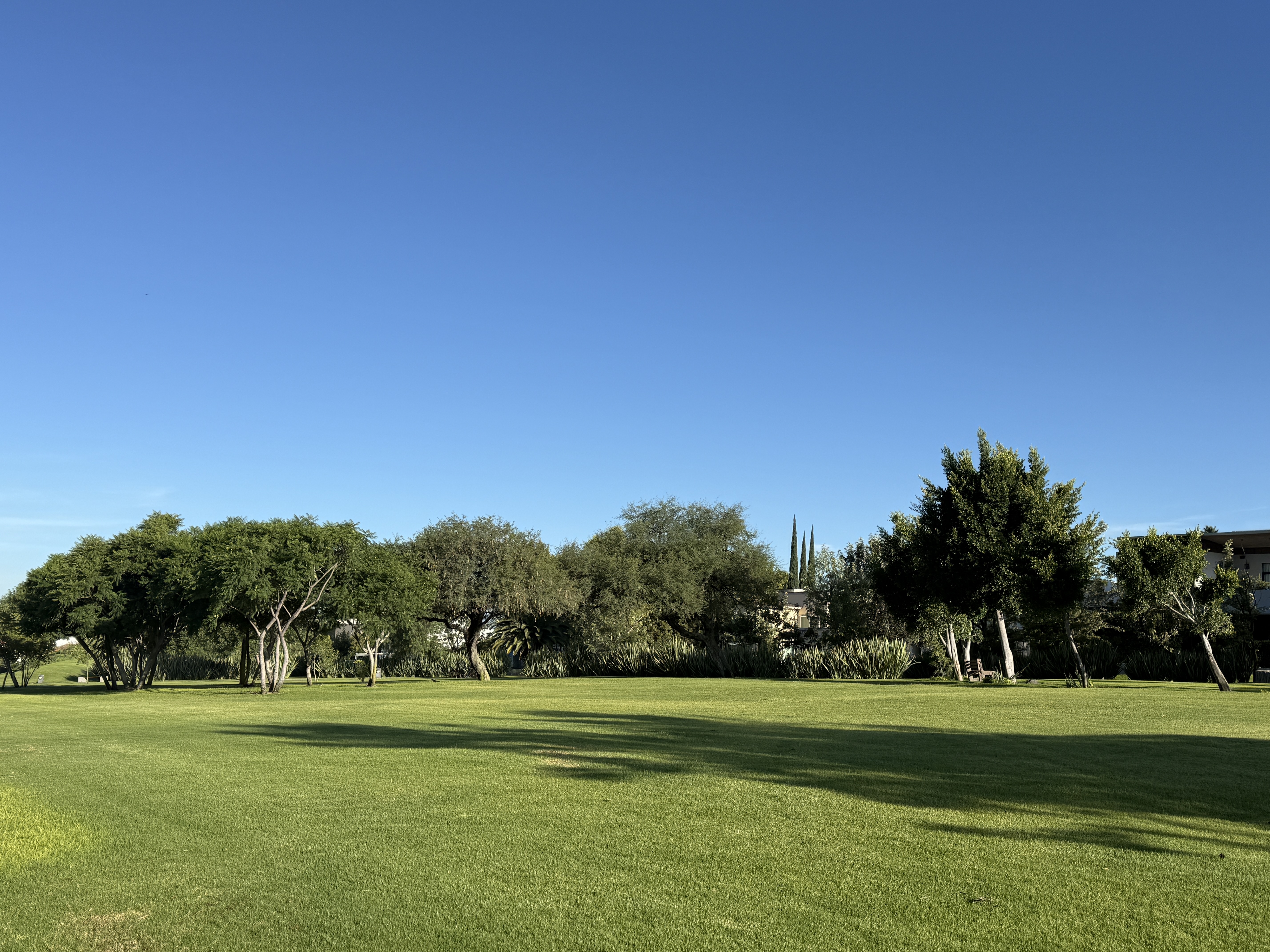TERRENO XXVI - LOTE 40 CAMPANARIO DE LA INMACULADA