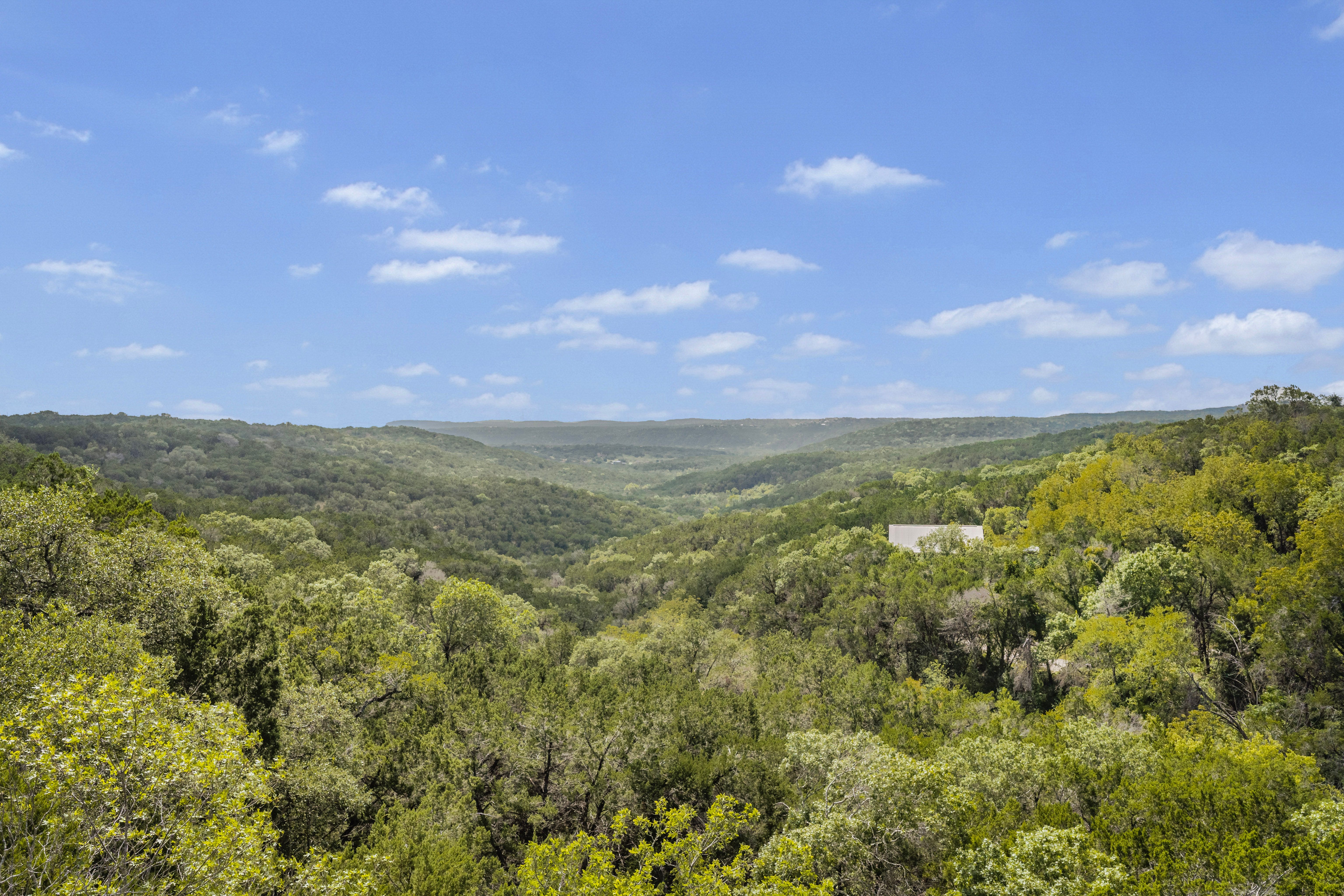 Sparrow Lane Lot 5