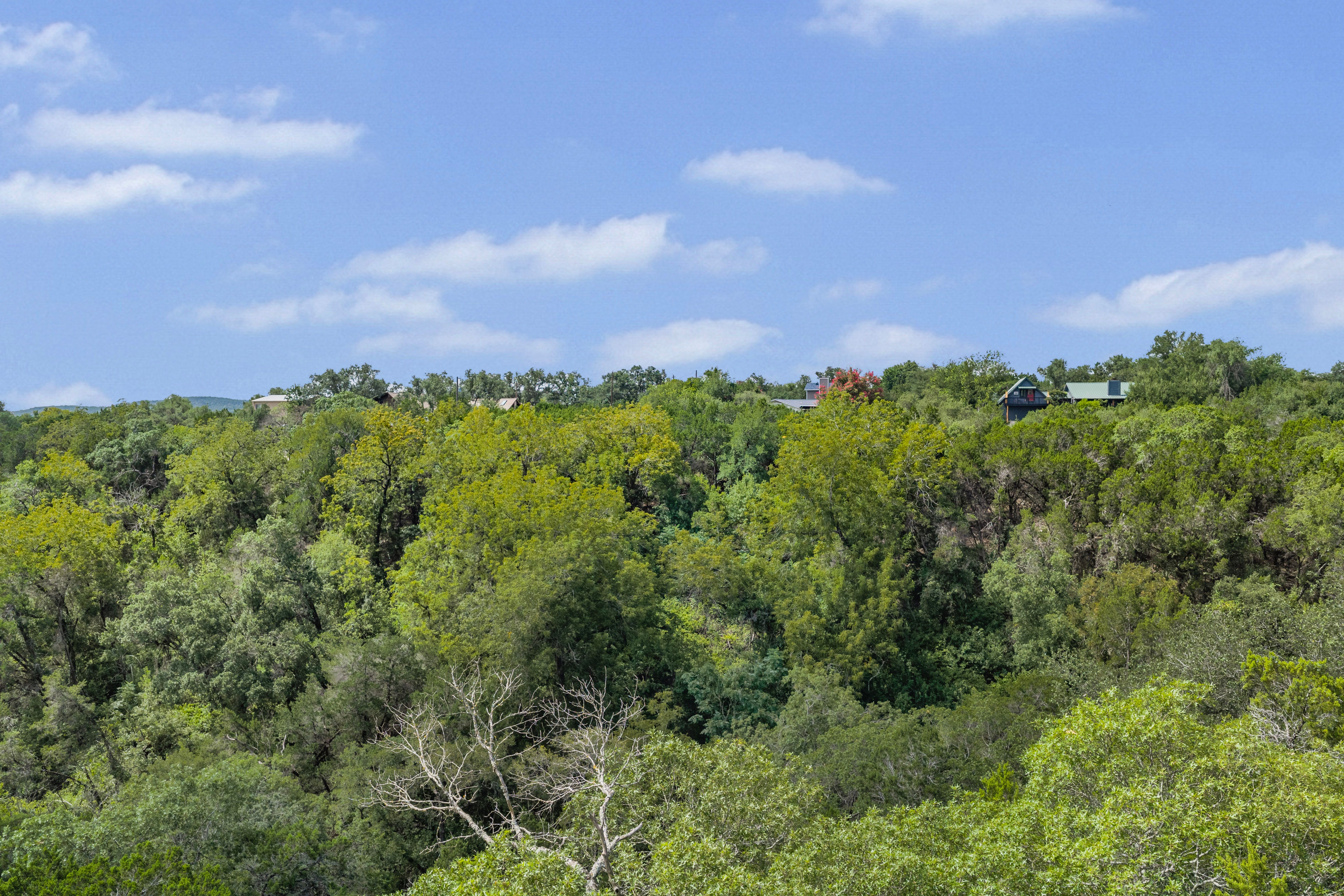 Sparrow Lane Lot 5