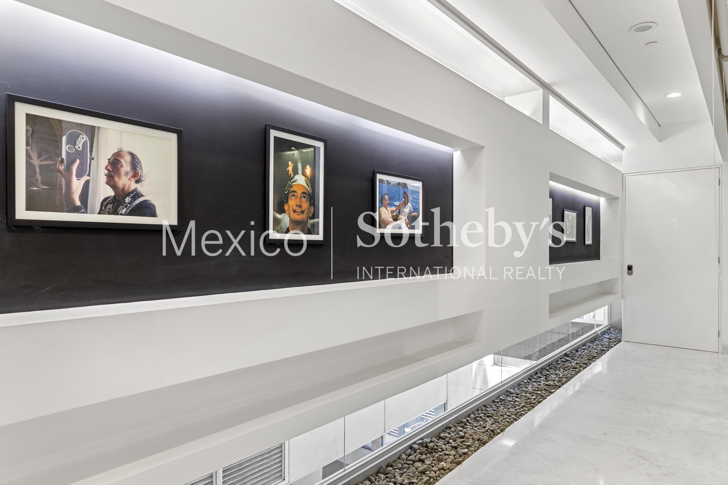 Ruben Dario 215 - 702 Polanco Miguel Hidalgo