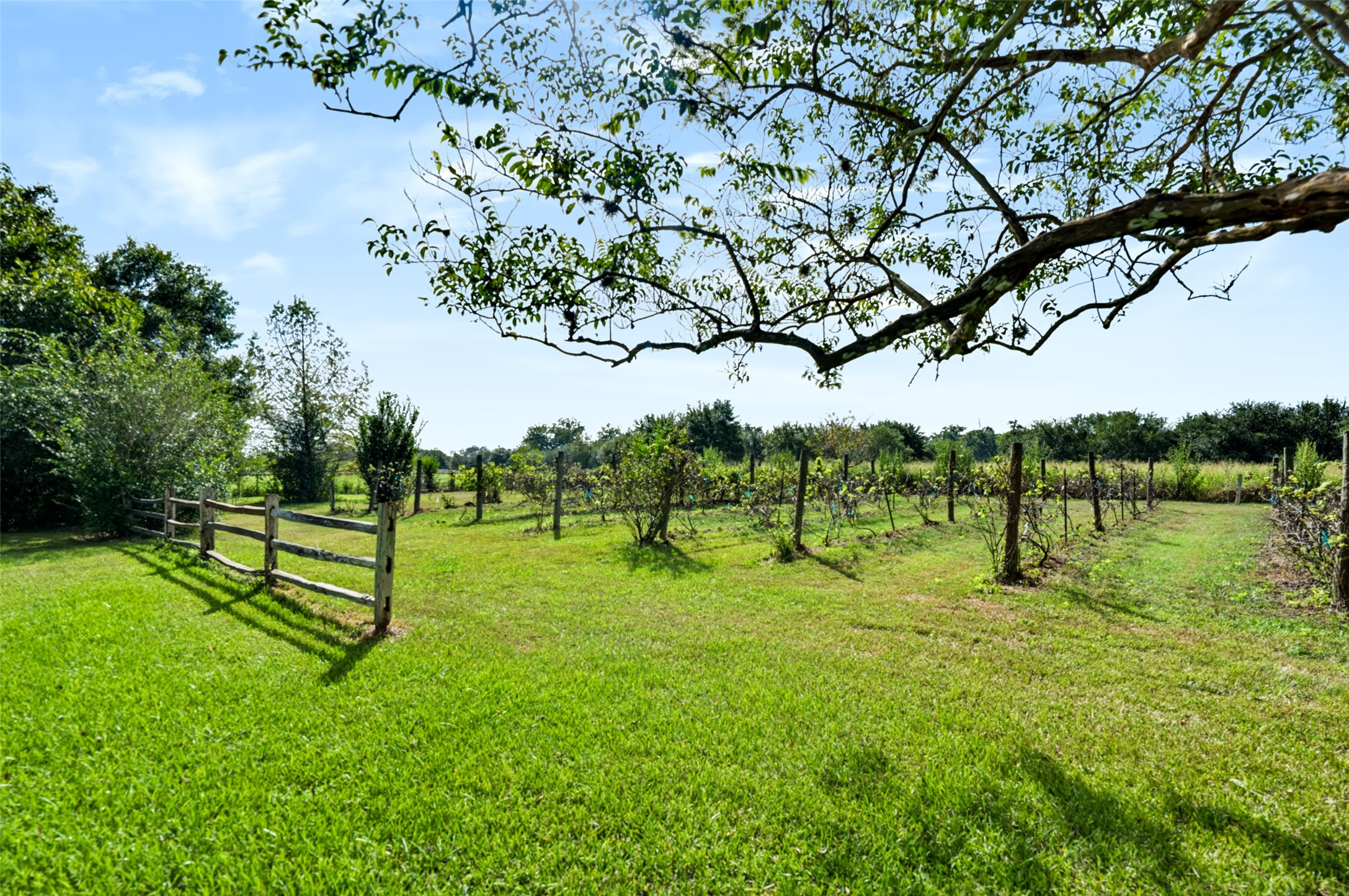 38914 Sampson Road