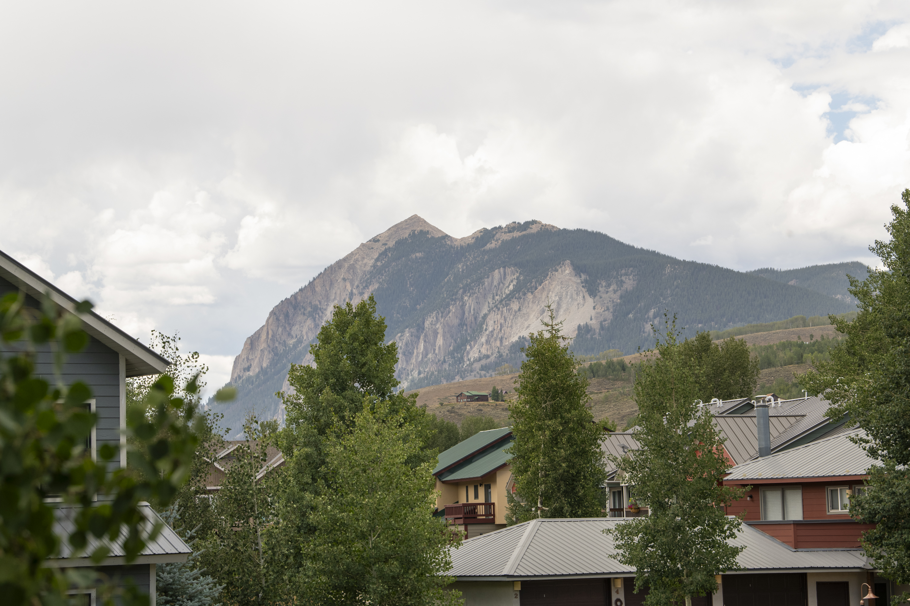 2 Elcho Avenue Unit# 5