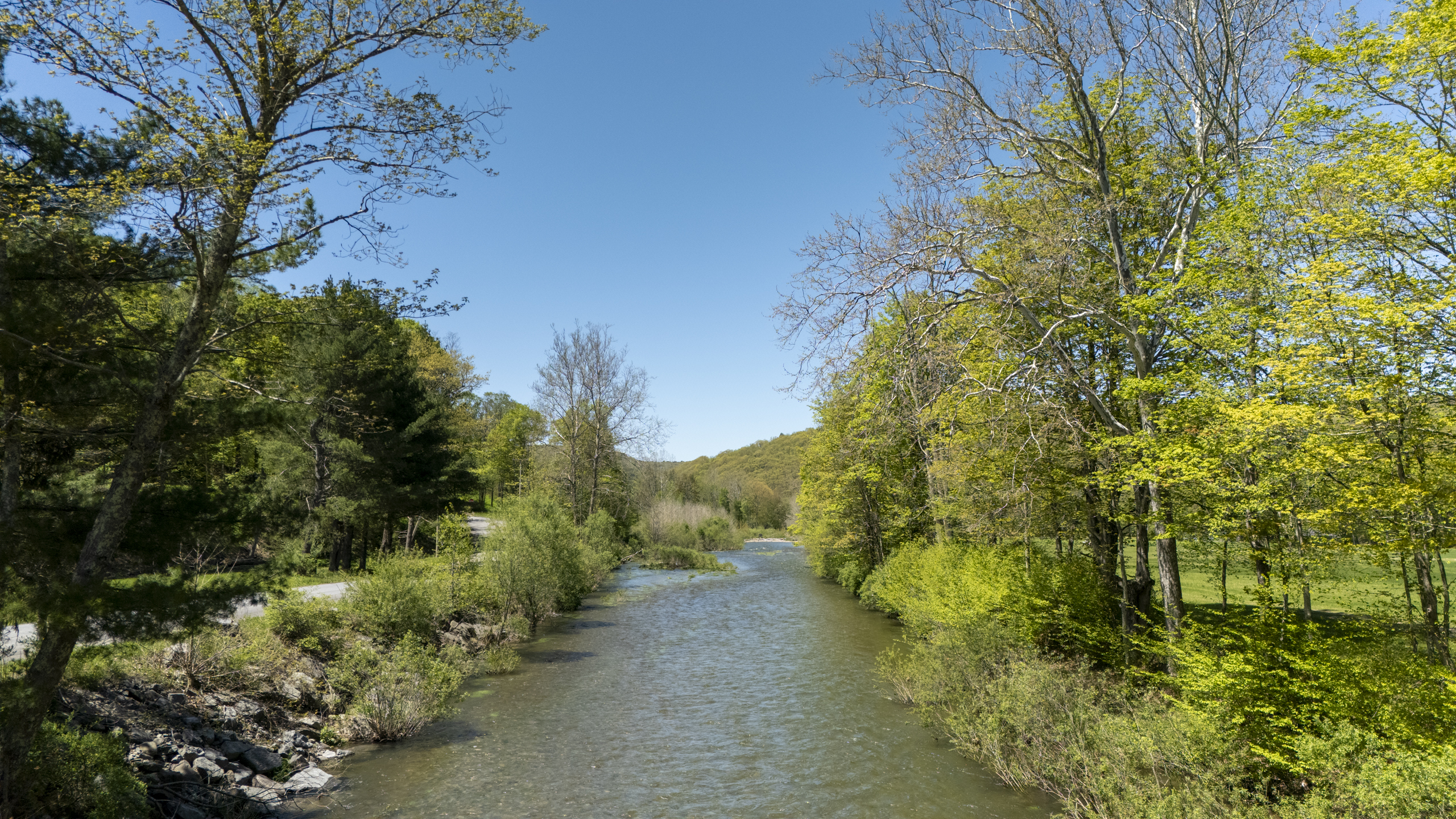 390 Erpf Road