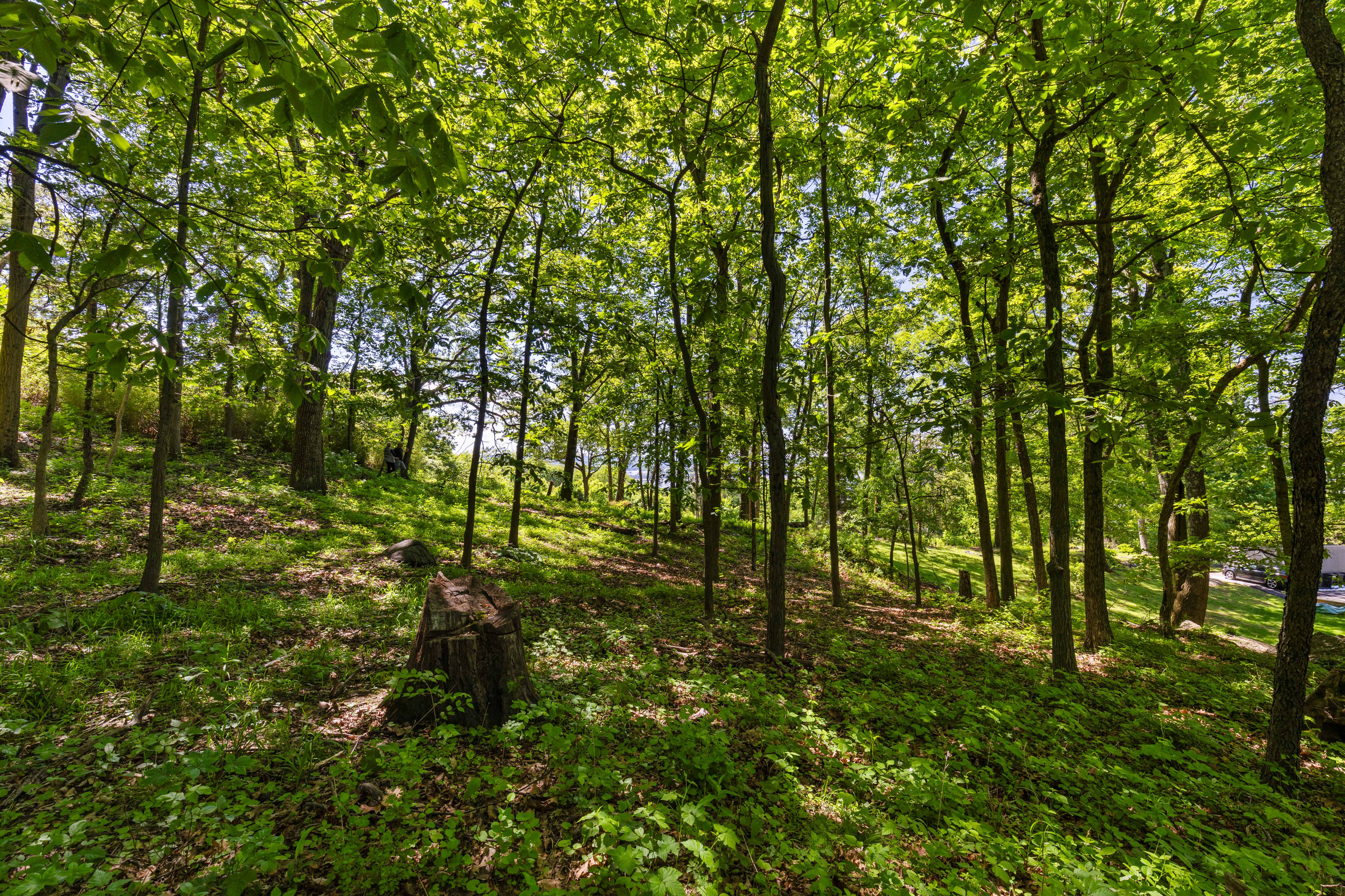 8 Prickly Pear Hill Road