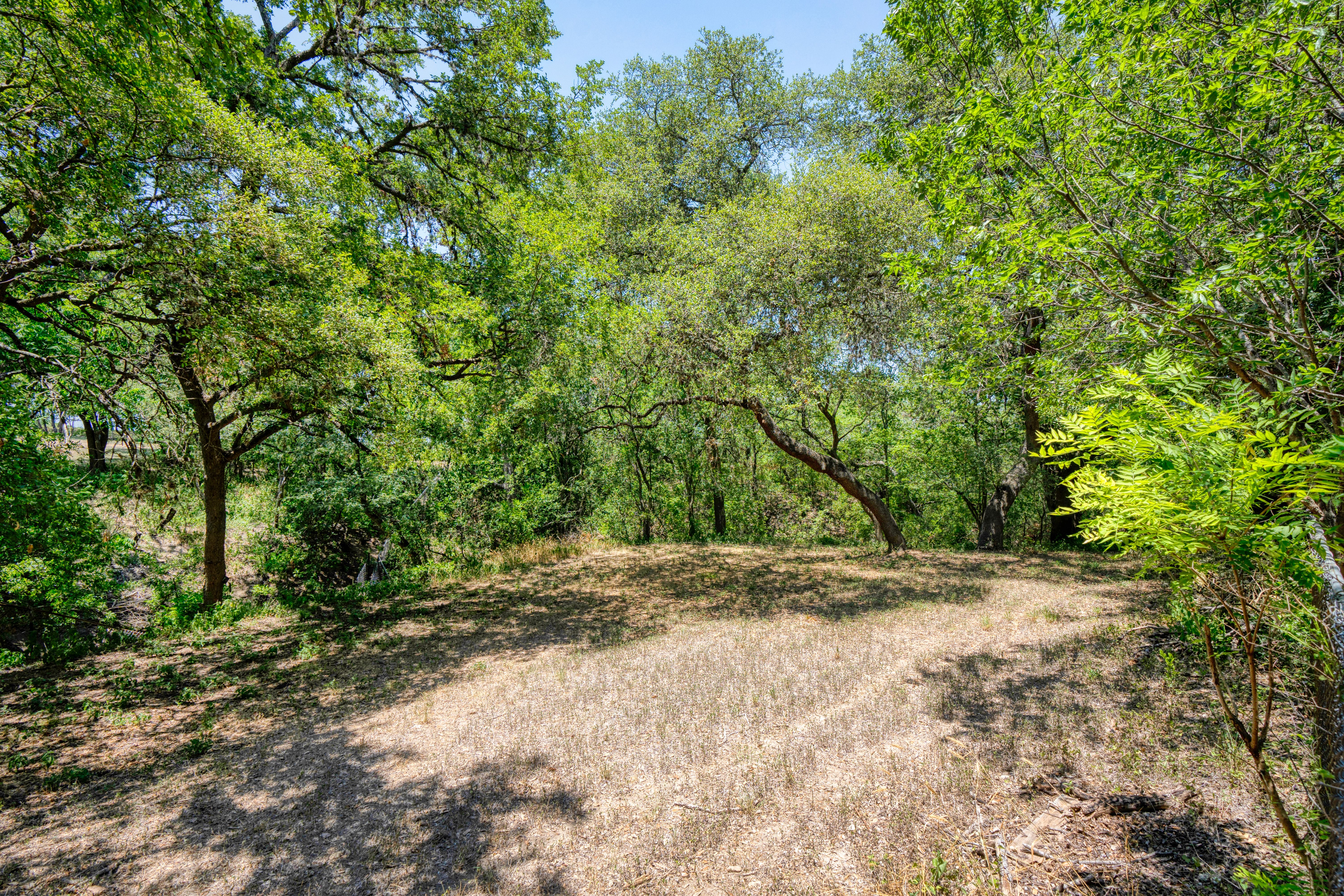 1264 Cibolo Trail