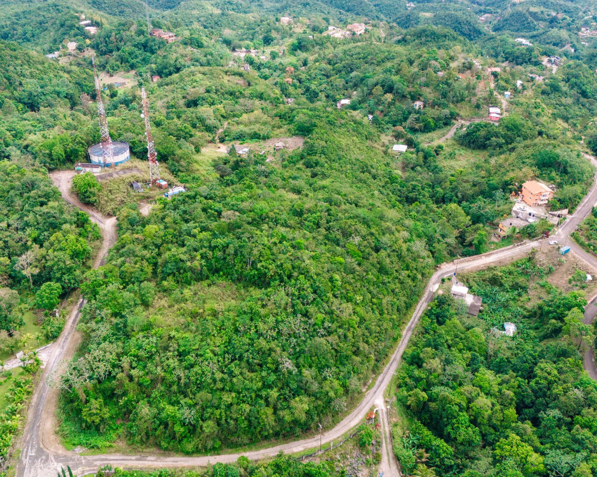 63 Cooper's Hill Red Hills