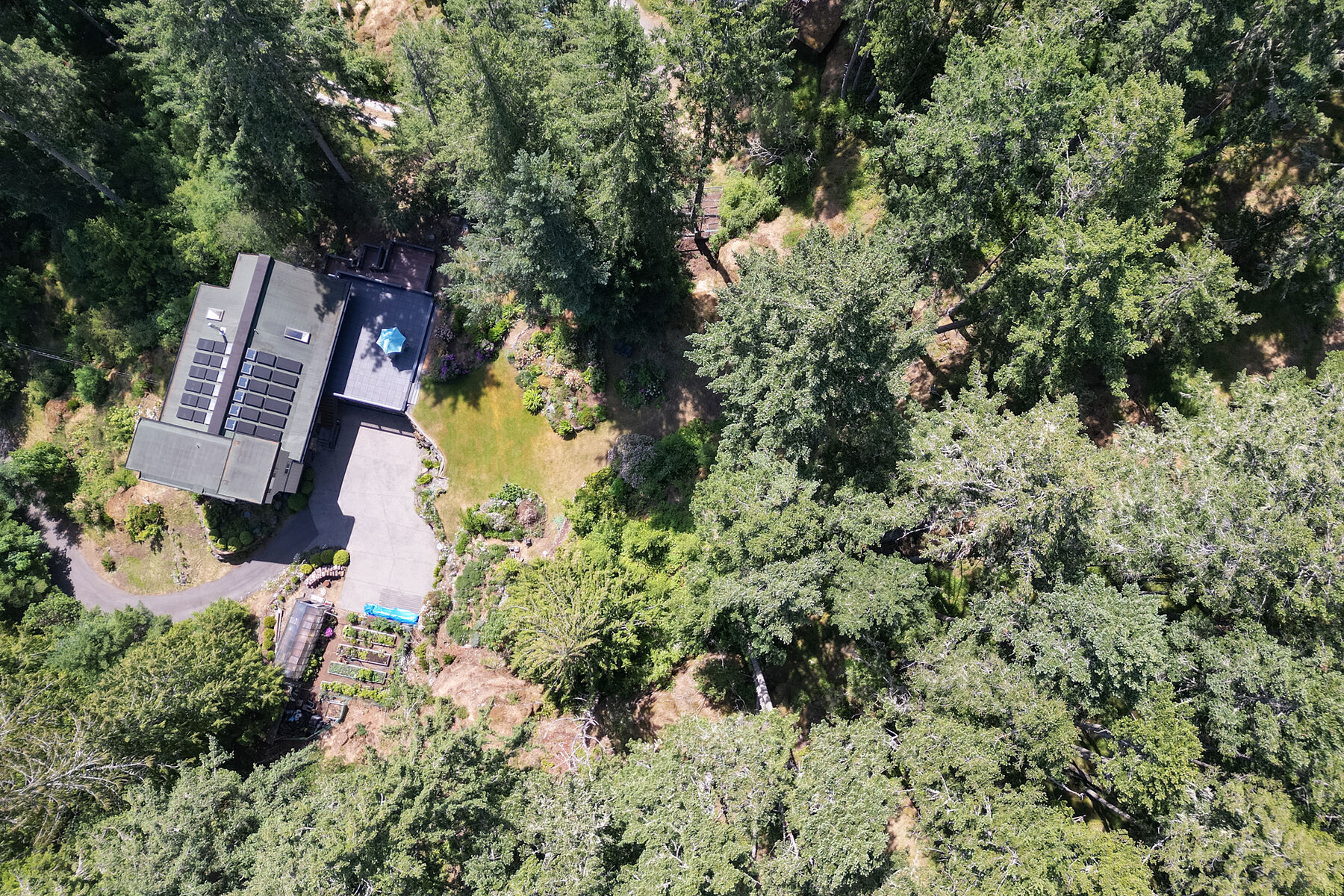 908 Herlihy Place