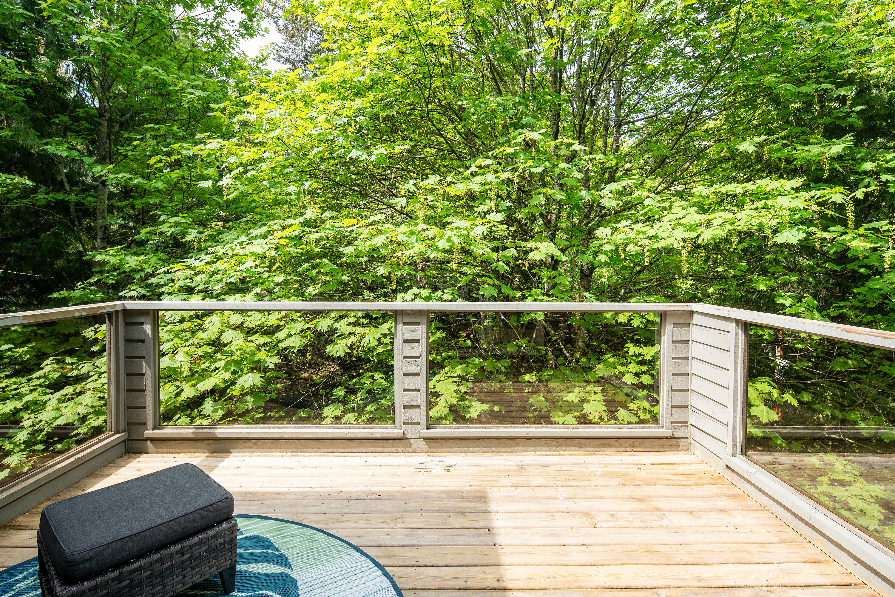 901 Haliburton Road