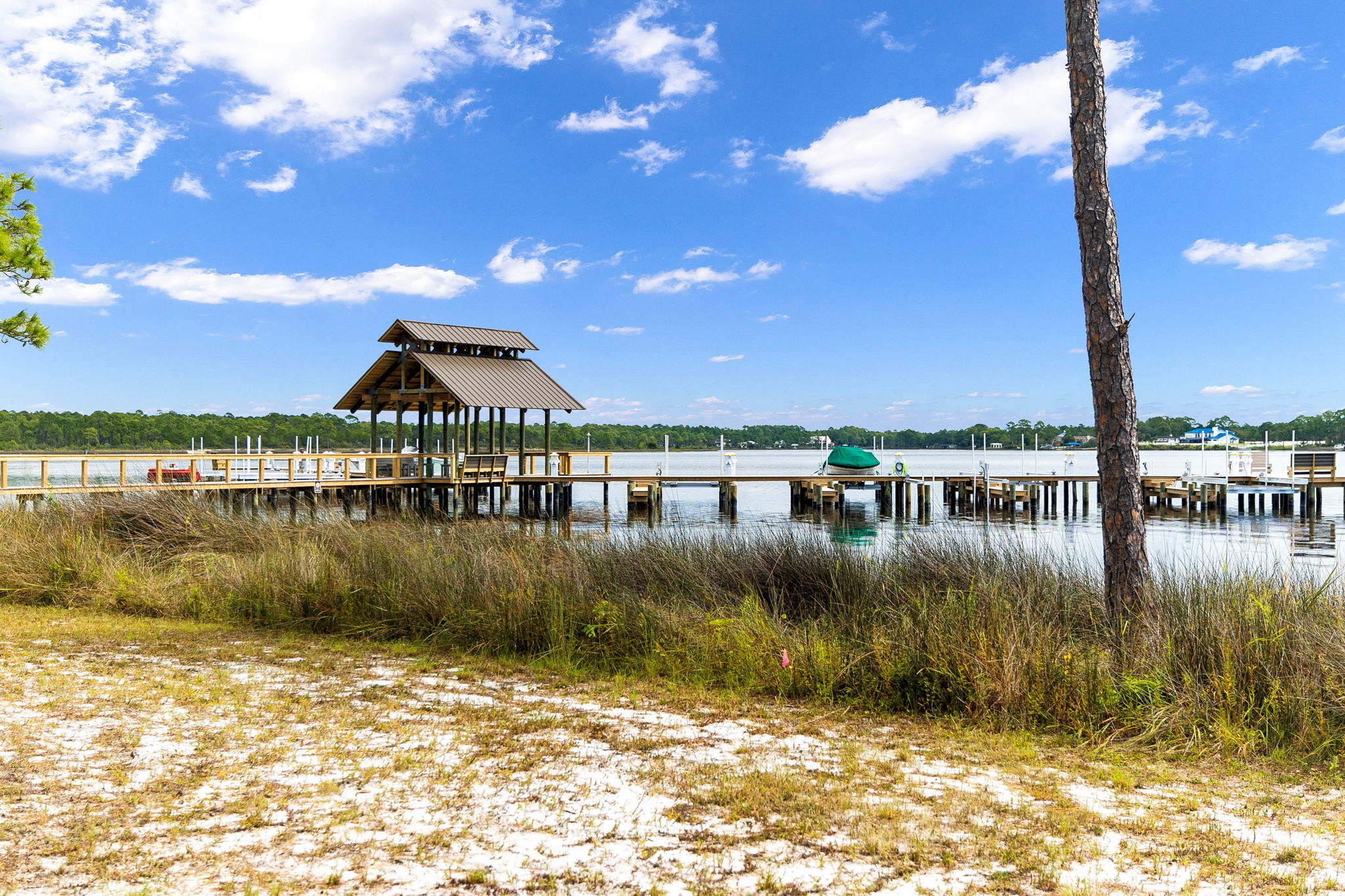 1101 Sawgrass Court 102