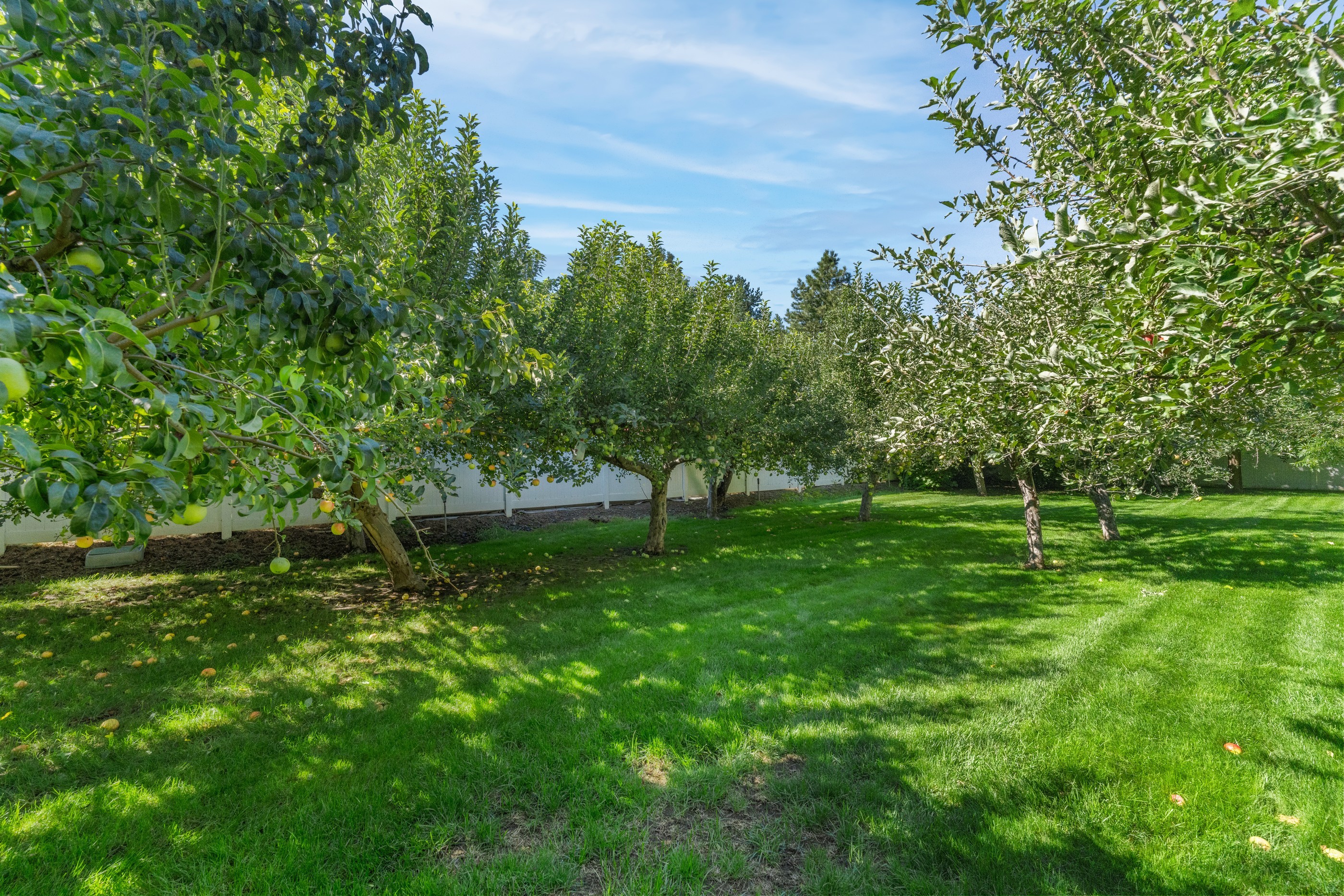 2208 Tawny Woods Place 