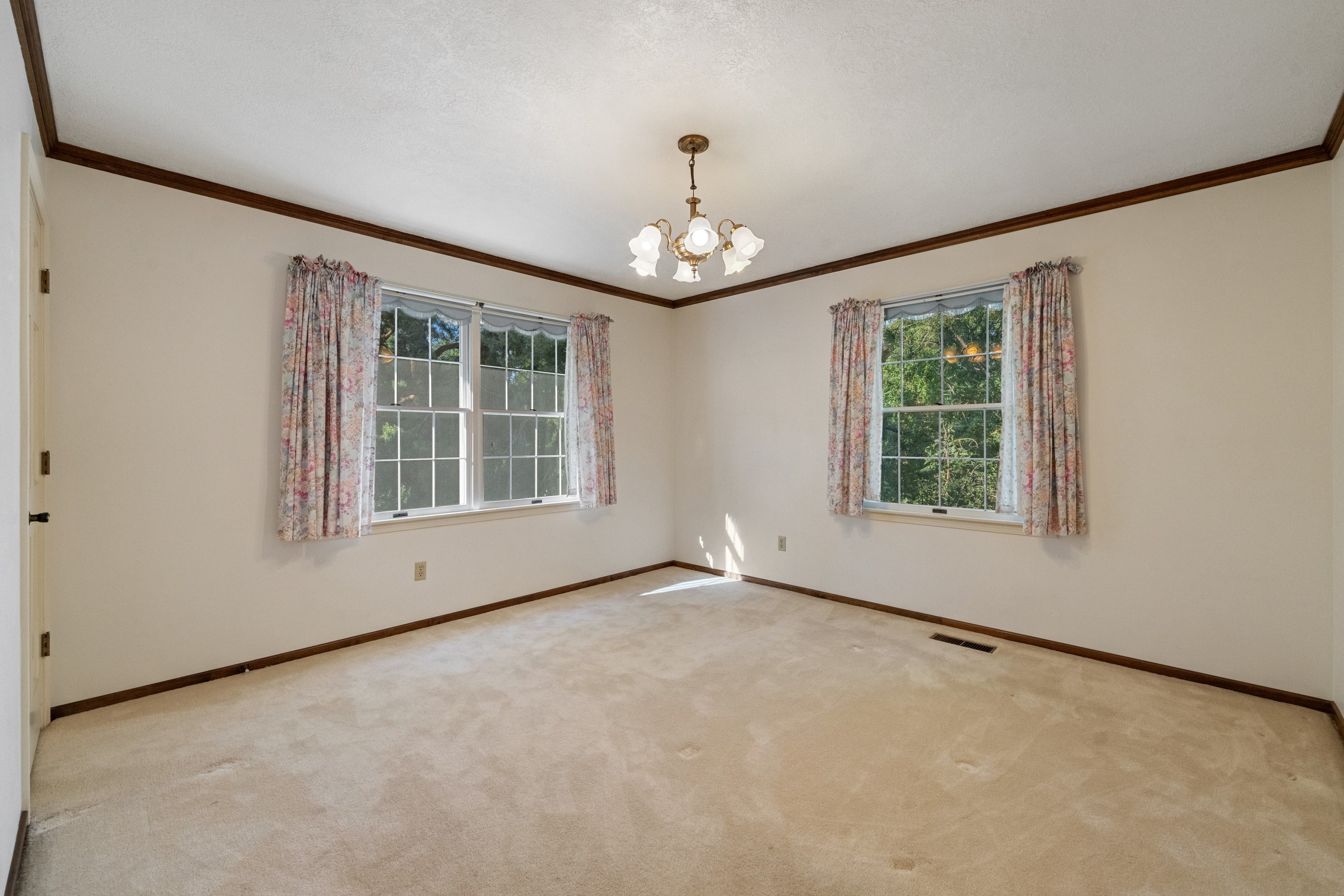 2208 Tawny Woods Place 