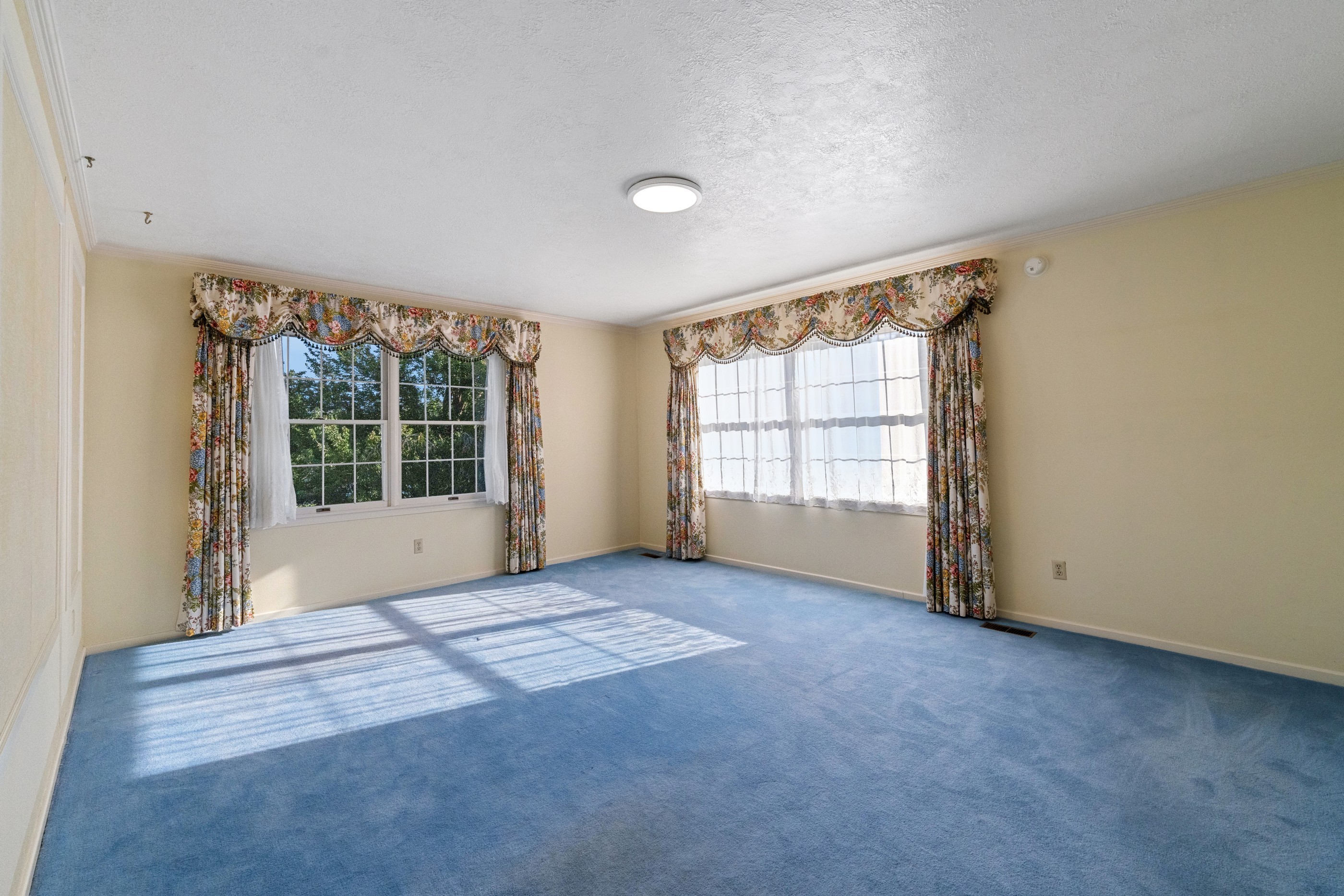 2208 Tawny Woods Place 