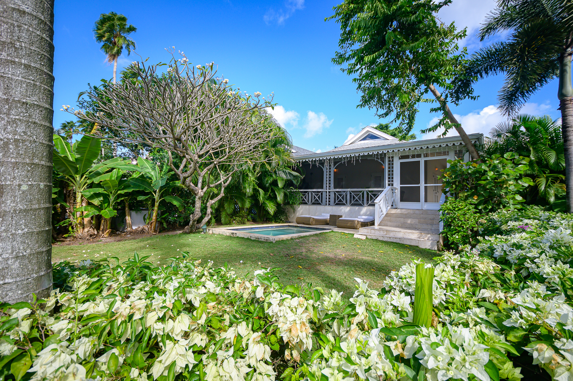 1417 Palm Grove Retreat