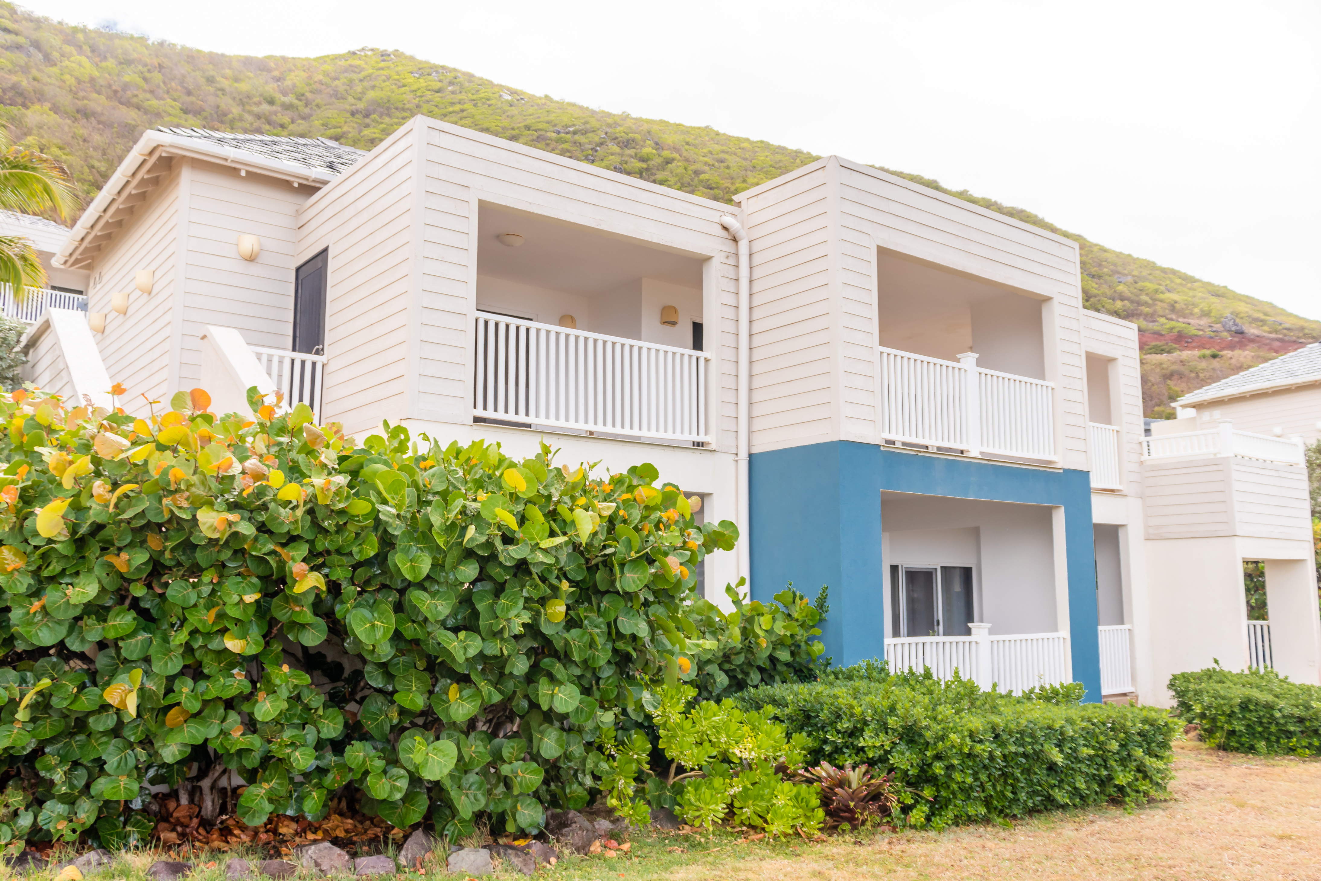 Ocean's Edge 15