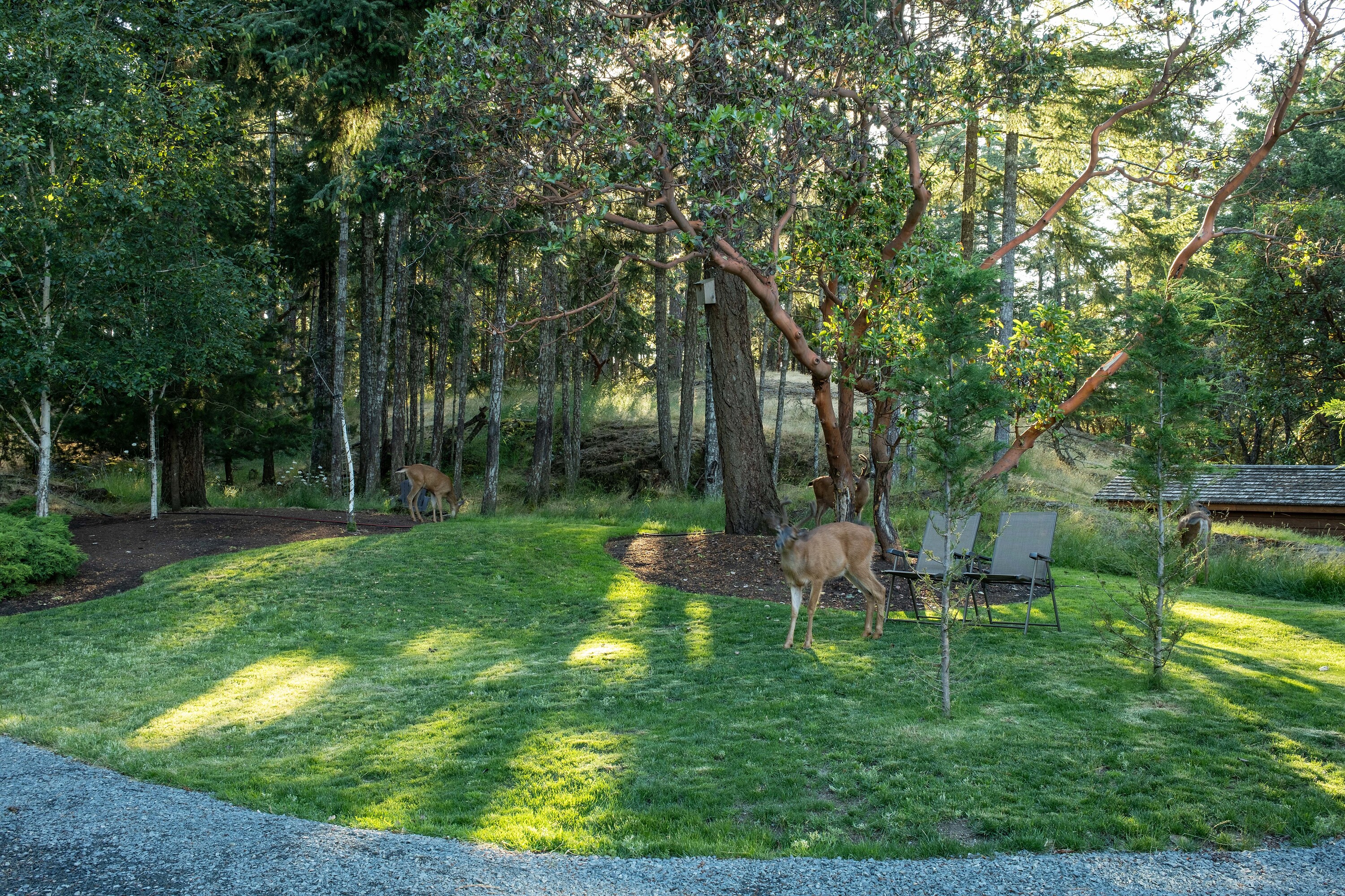 1590 Neild Road