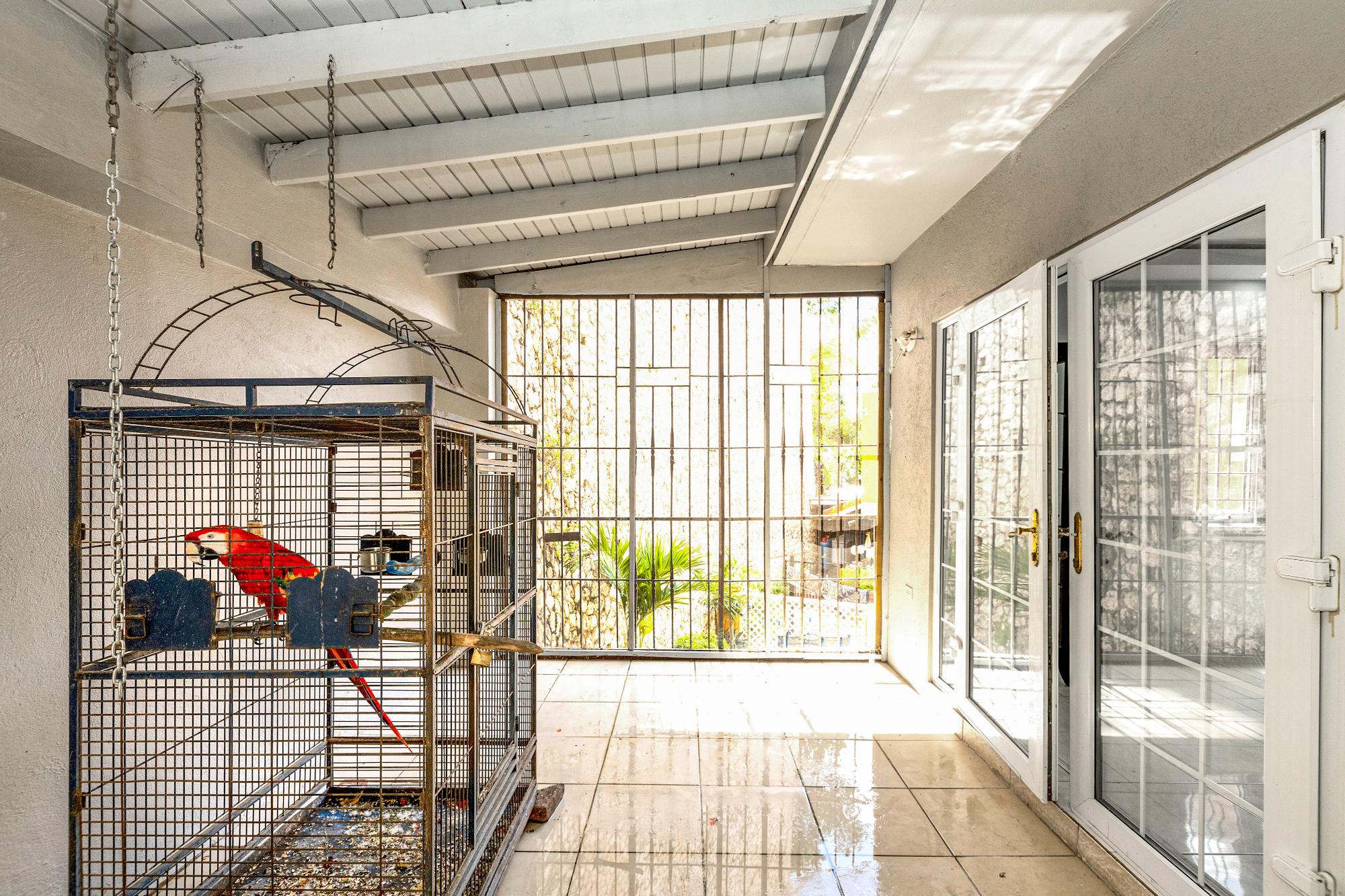 16-13 Norbrook Crescent Kingston 8