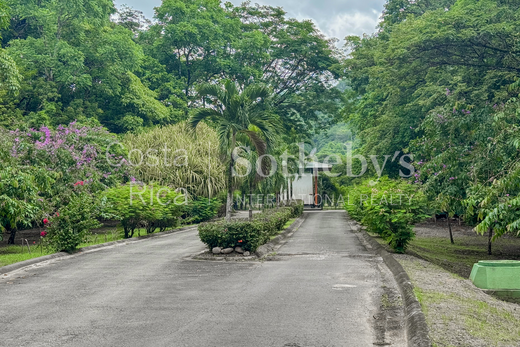 Nosara | Rio Montana