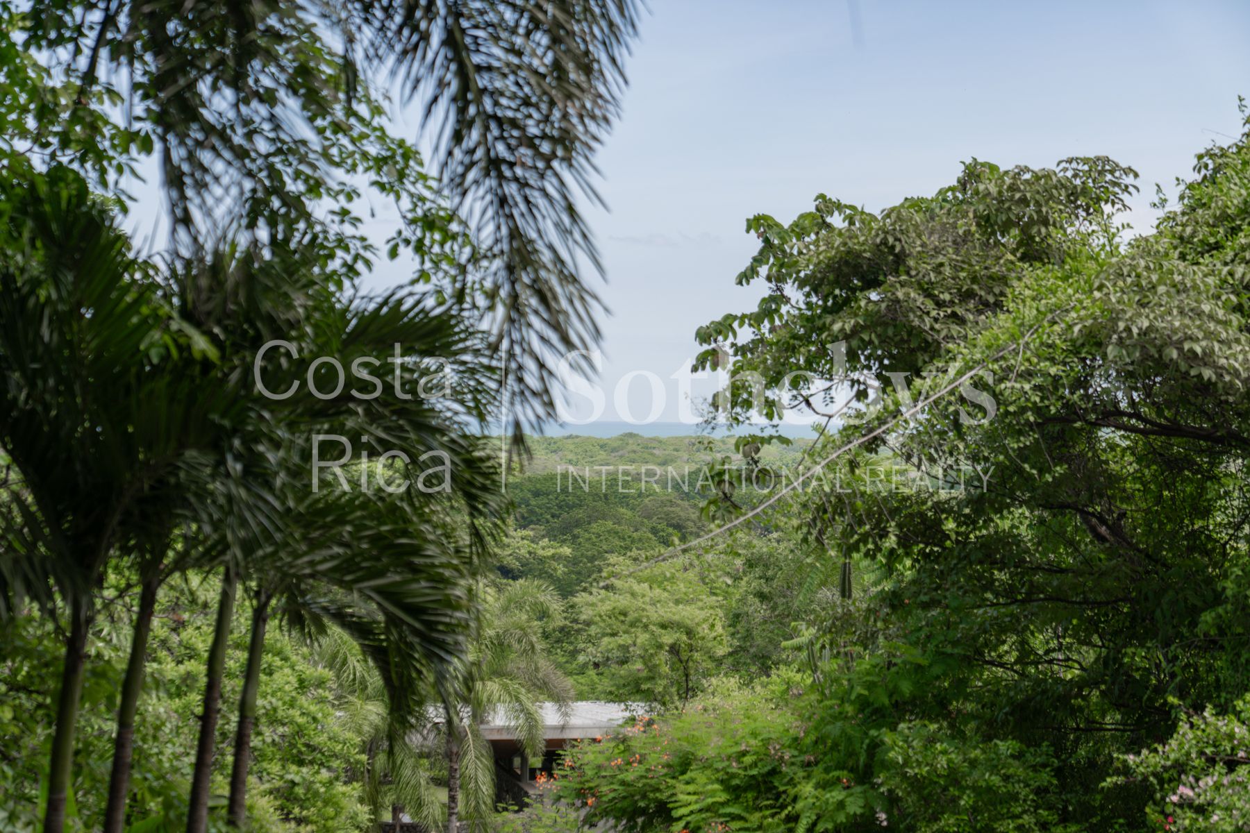 Nosara | Rio Montana