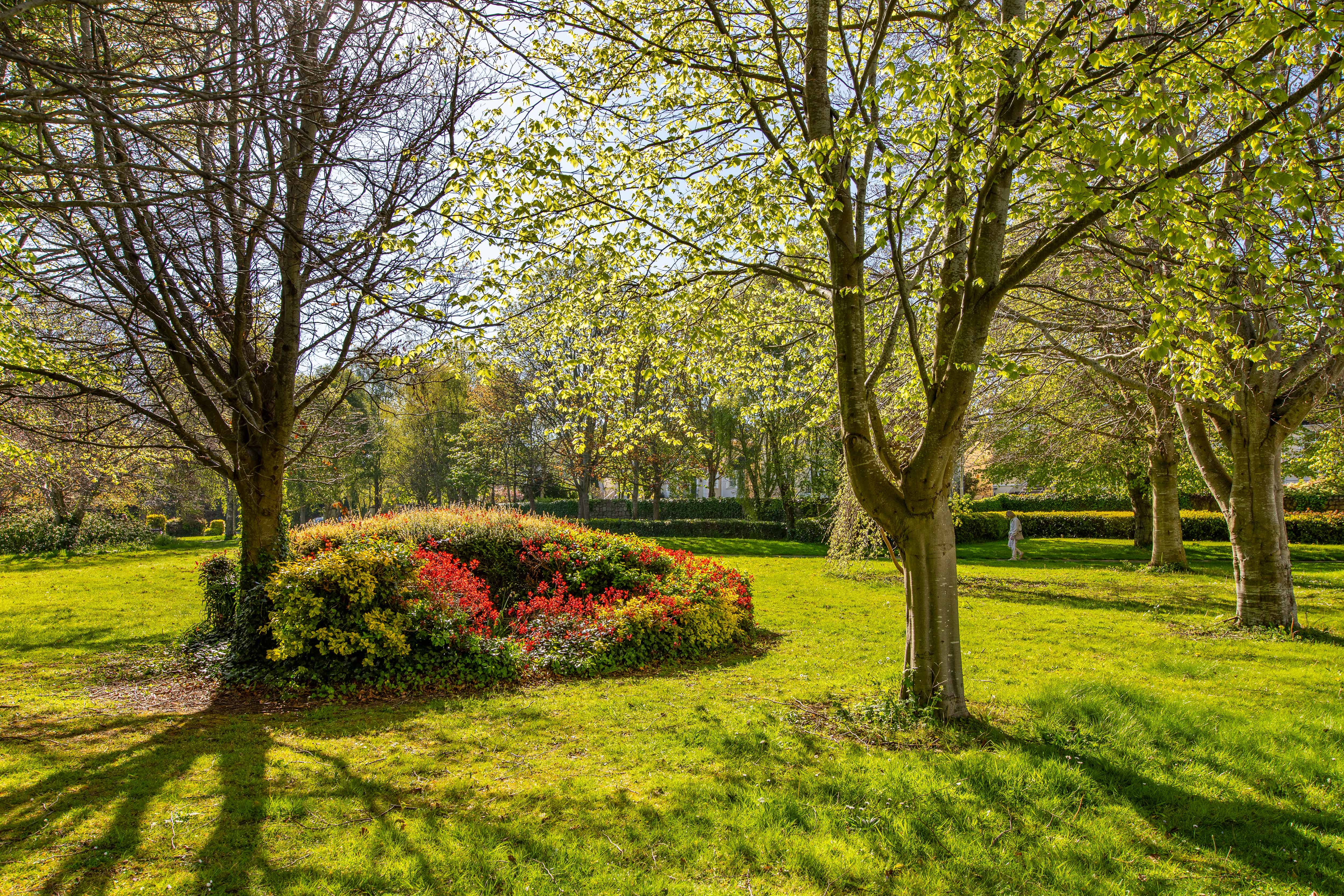 1 Avoca Terrace Avoca Avenue Blackrock