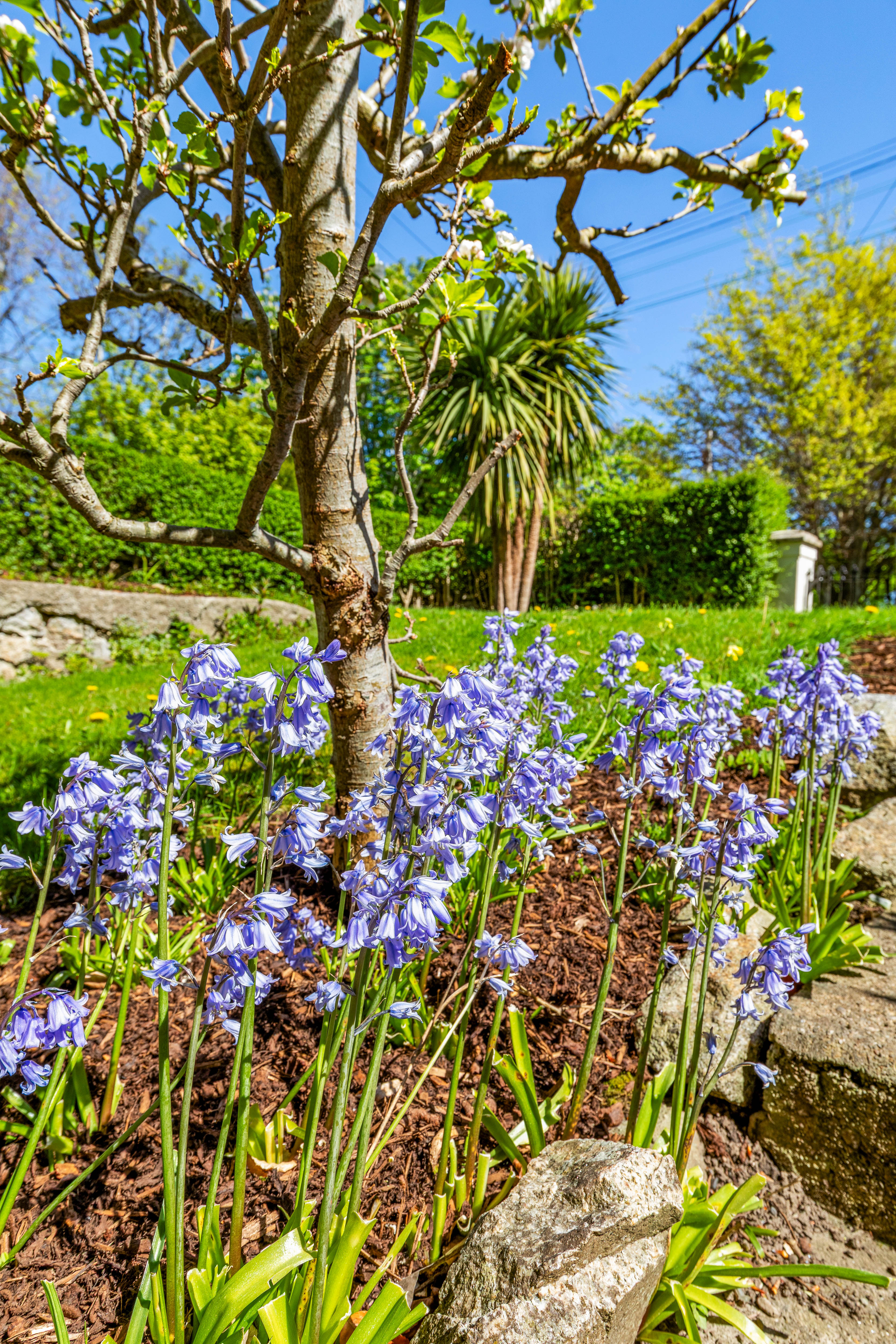 1 Avoca Terrace Avoca Avenue Blackrock