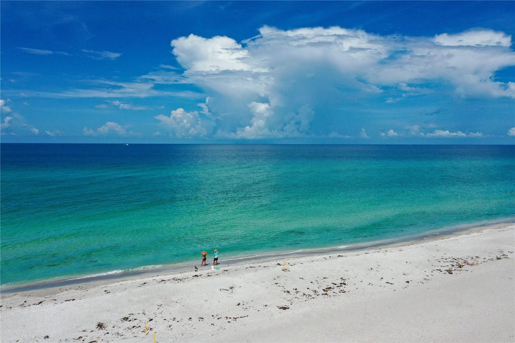 4651 Gulf Of Mexico Drive , 203