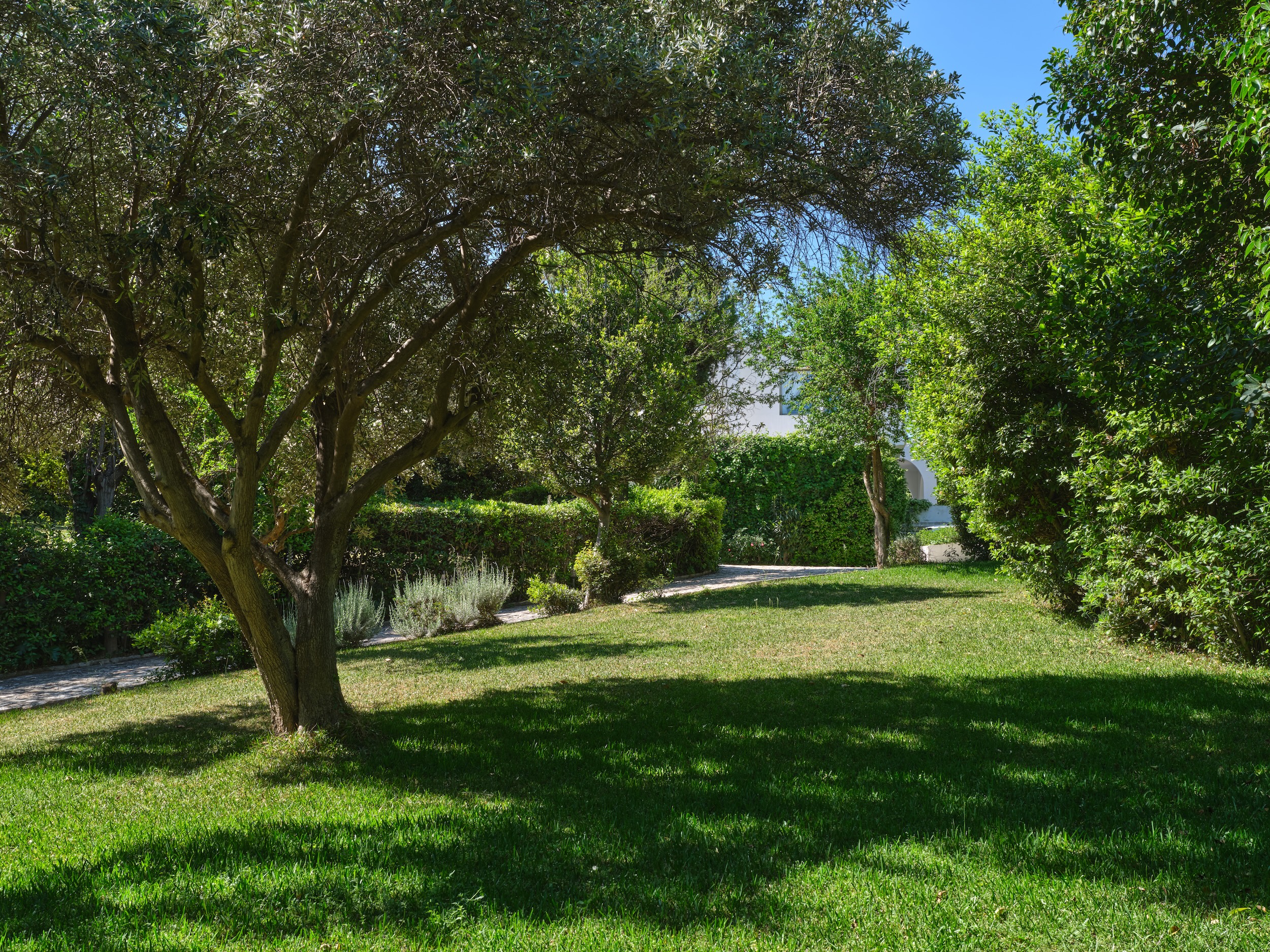 Psichiko Athenia