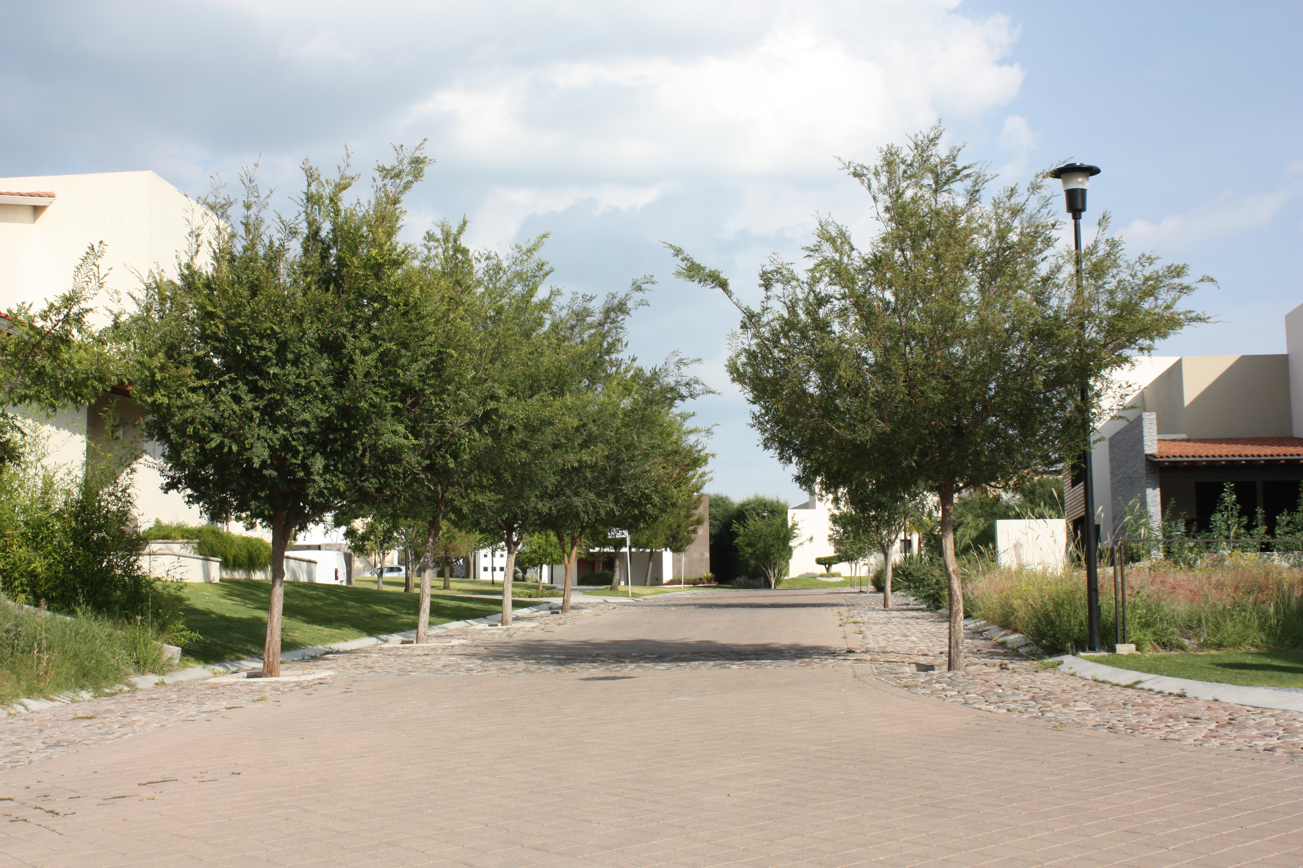 TERRENO XXXI - LOTE 3 CAMPANARIO DE SAN ANTONIO