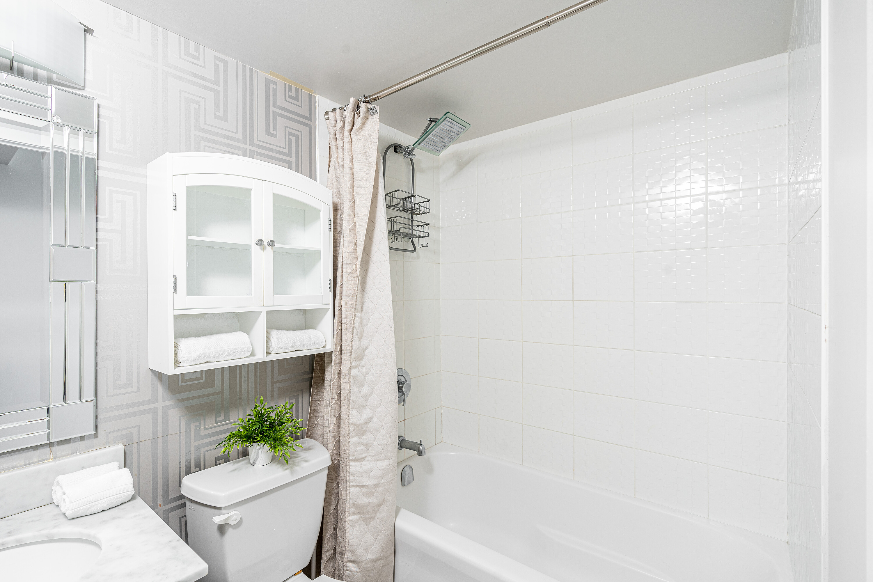 36 Lisgar St  903E