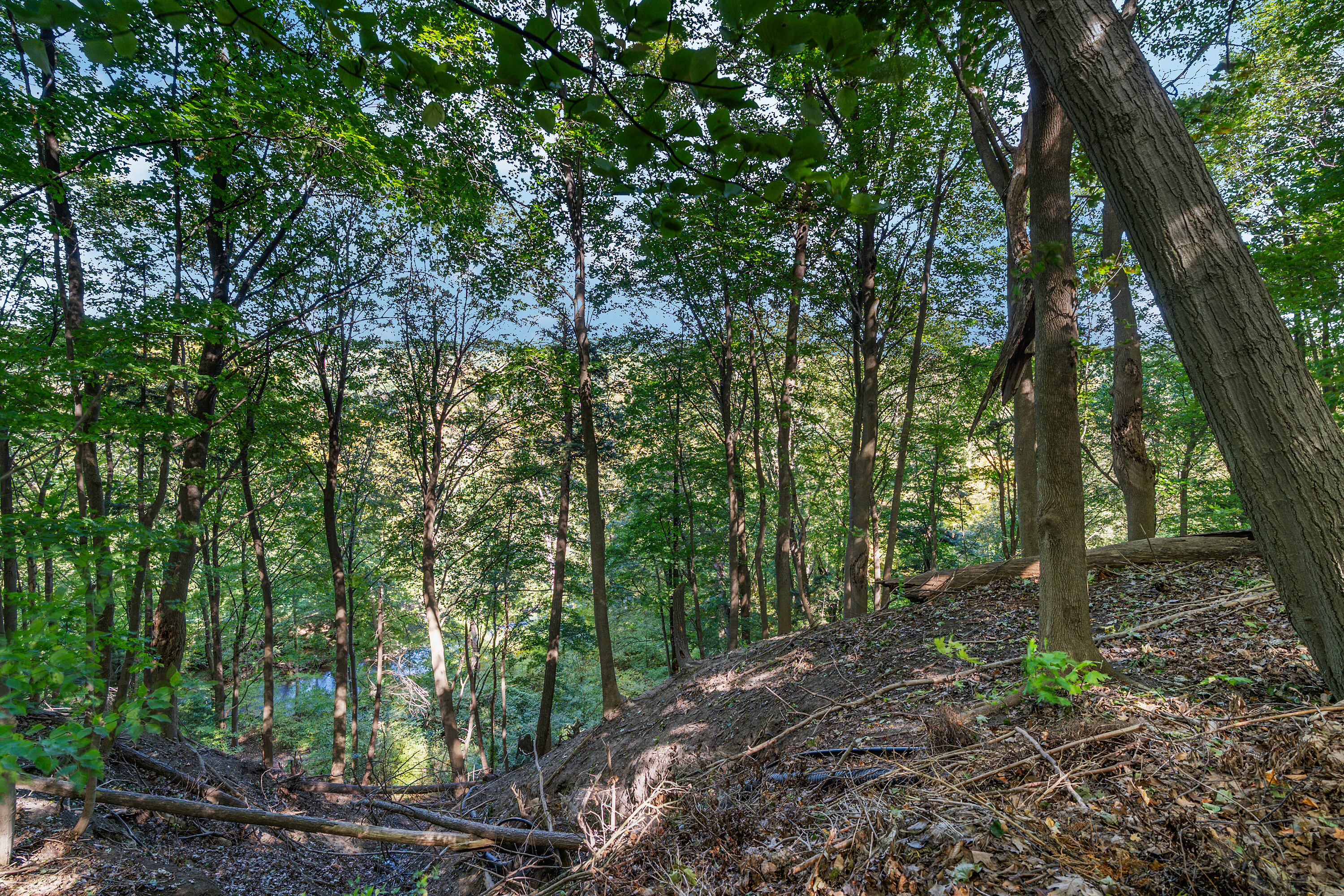 338 Riverview Dr