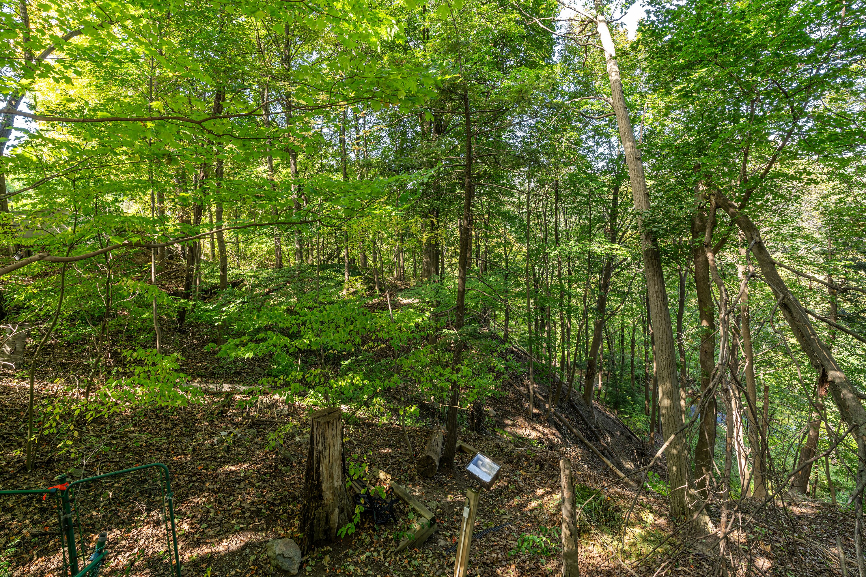 338 Riverview Dr