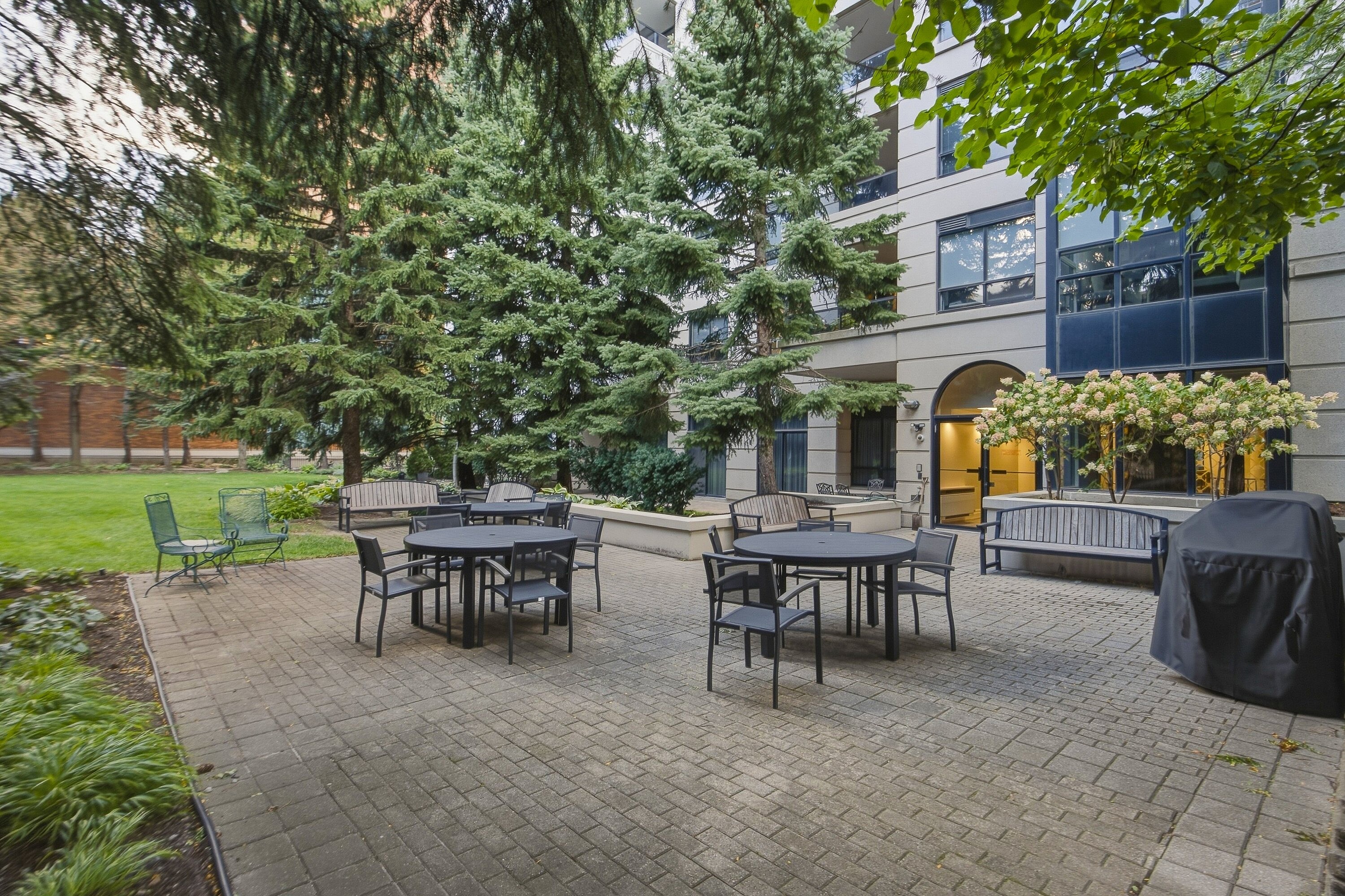 38 Avoca Ave  PH3