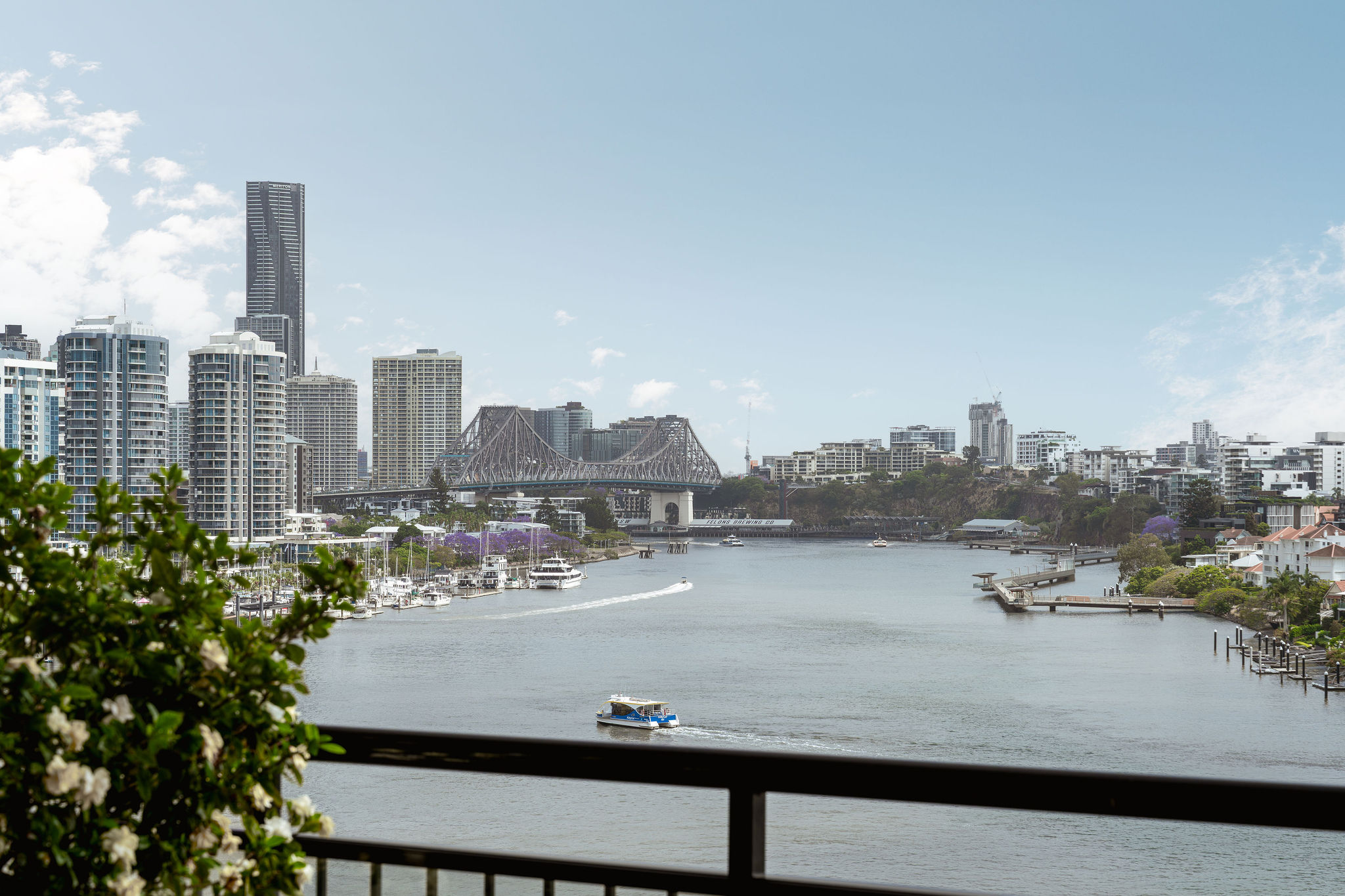 1003/241 Wellington Road East Brisbane