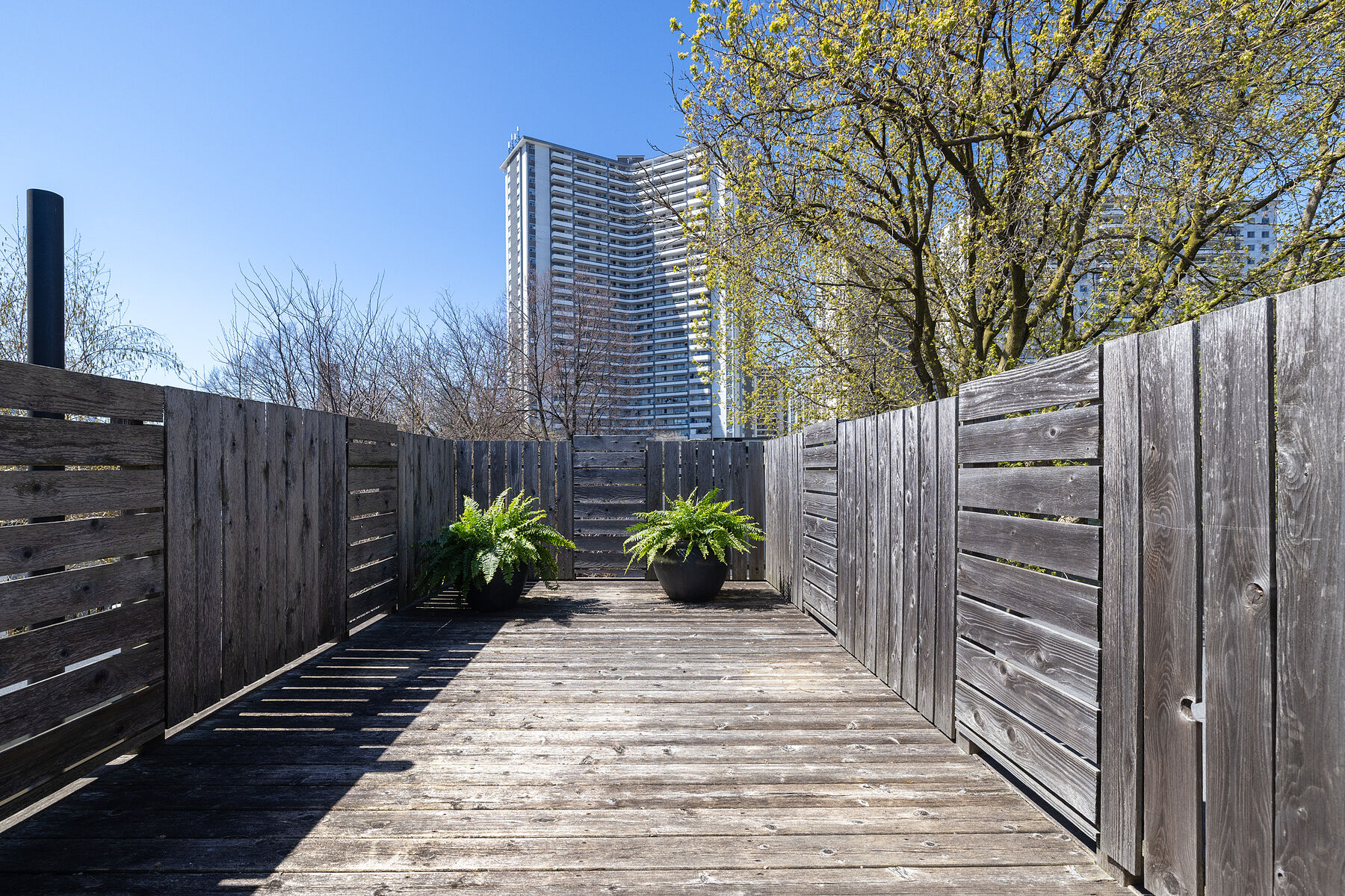 10 Laurier Ave