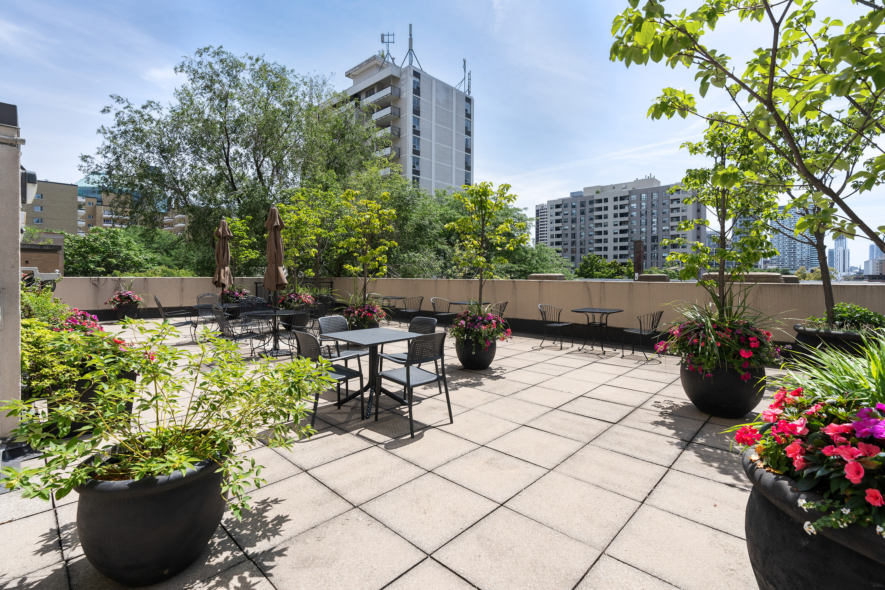71 Charles St E #302
