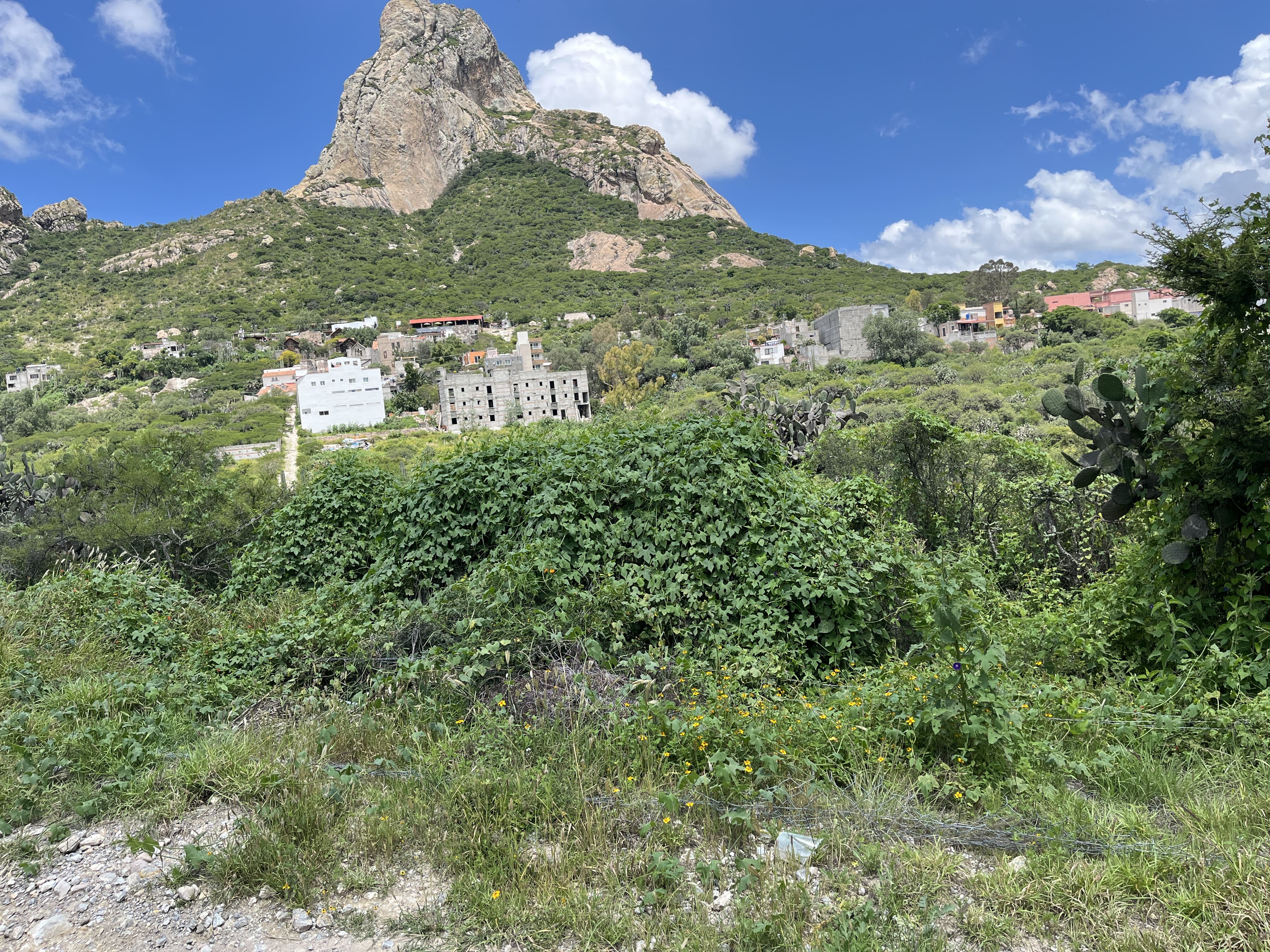 TERRENO BERNAL Bernal
