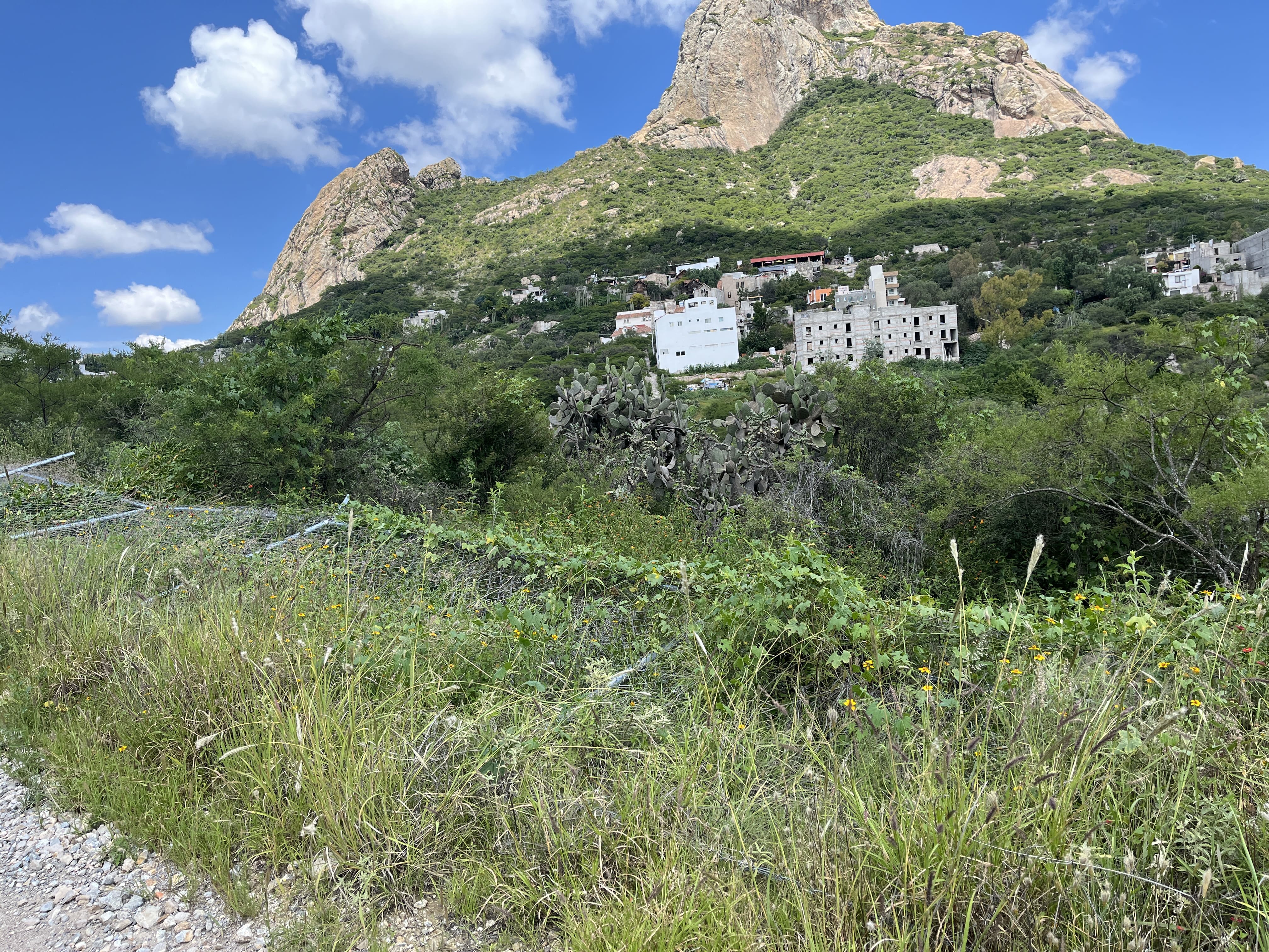 TERRENO BERNAL Bernal