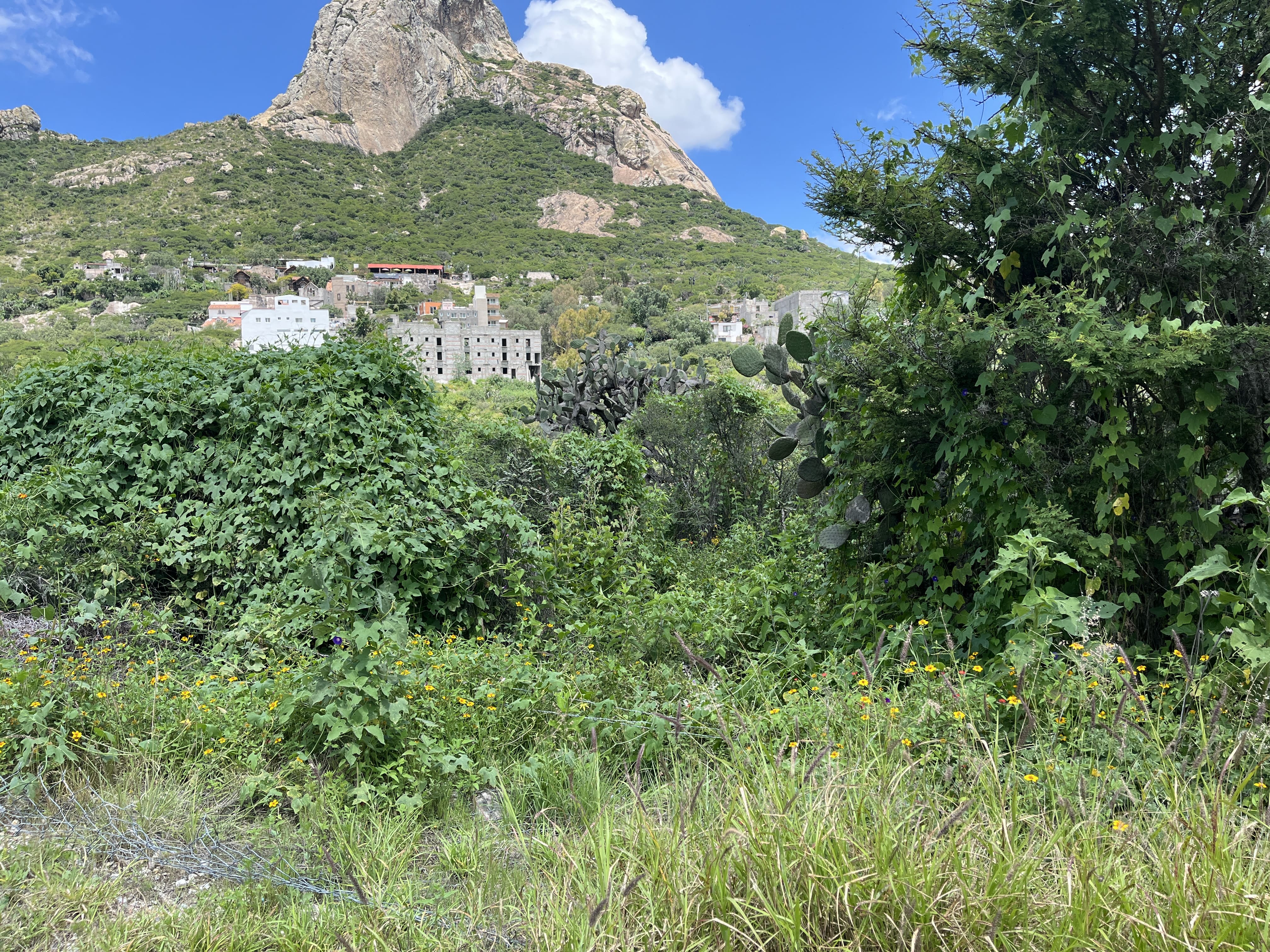 TERRENO BERNAL Bernal