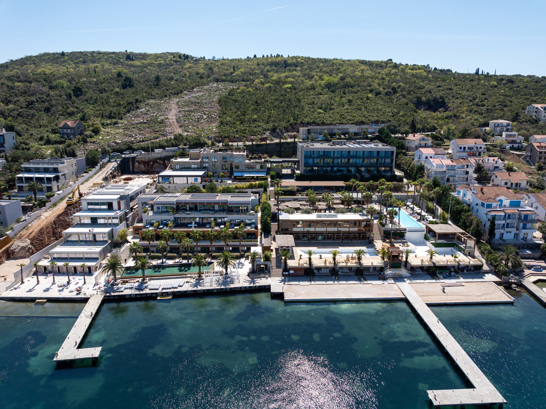 Monte Palm