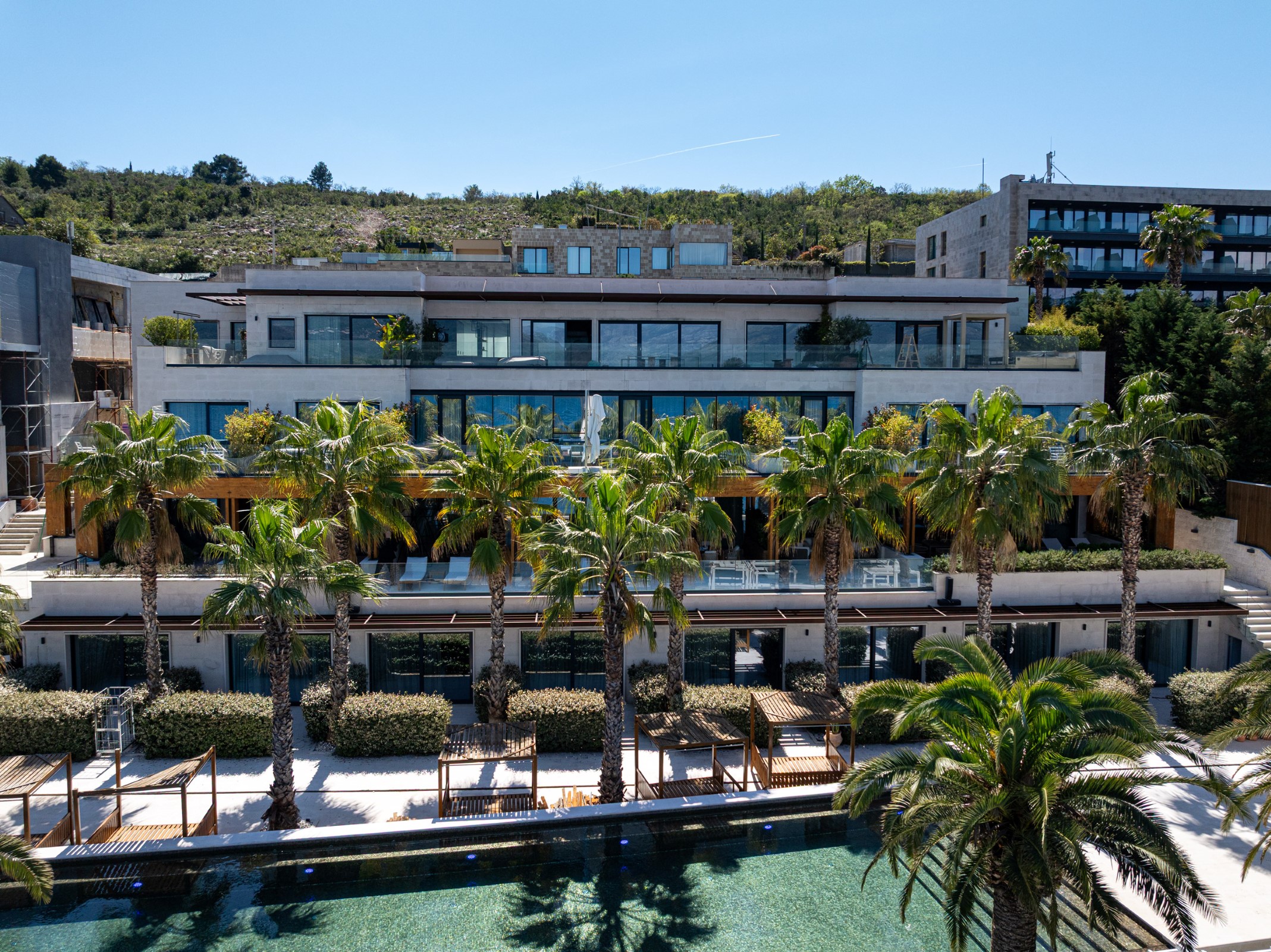 Monte Palm