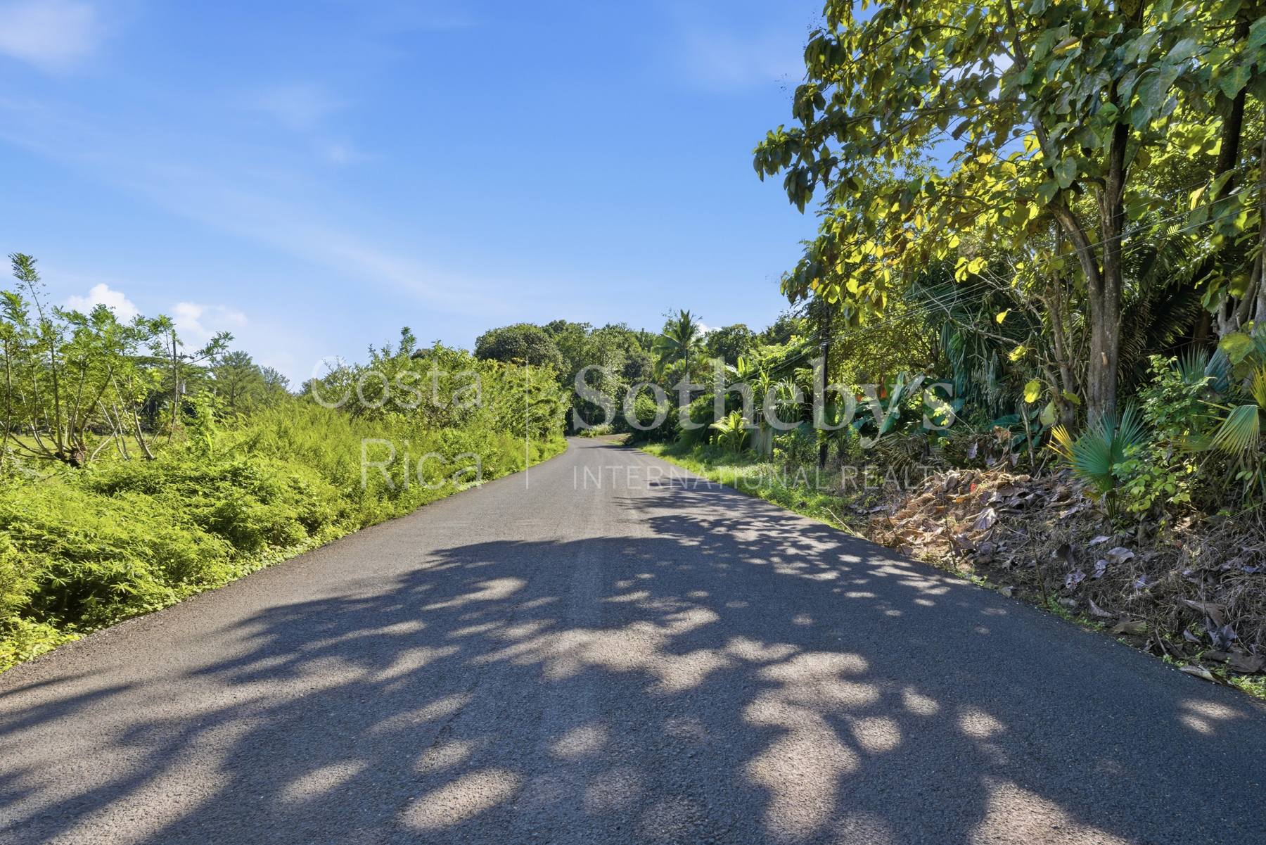 Nosara | Playa Garza