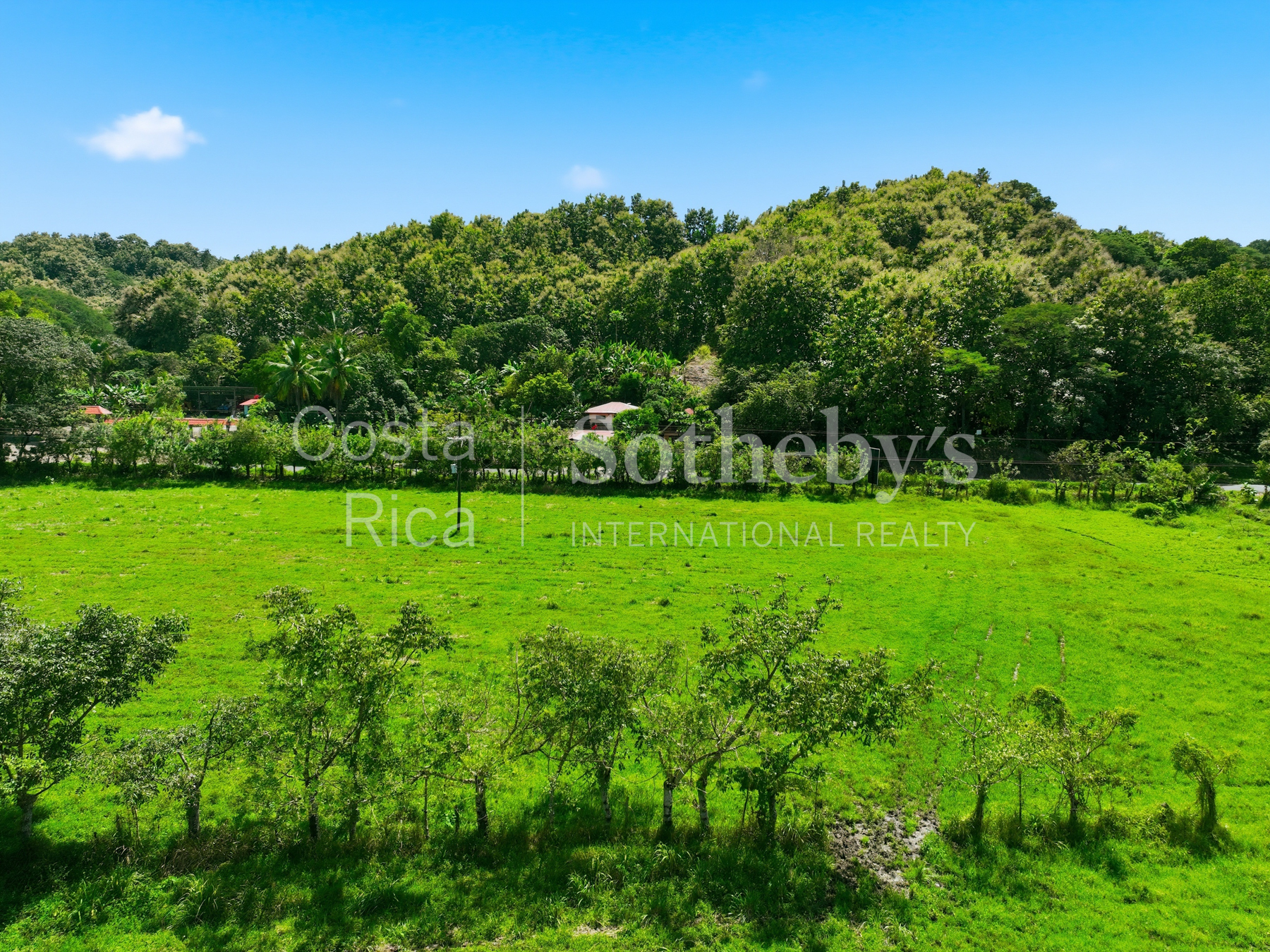 Nosara | Playa Garza