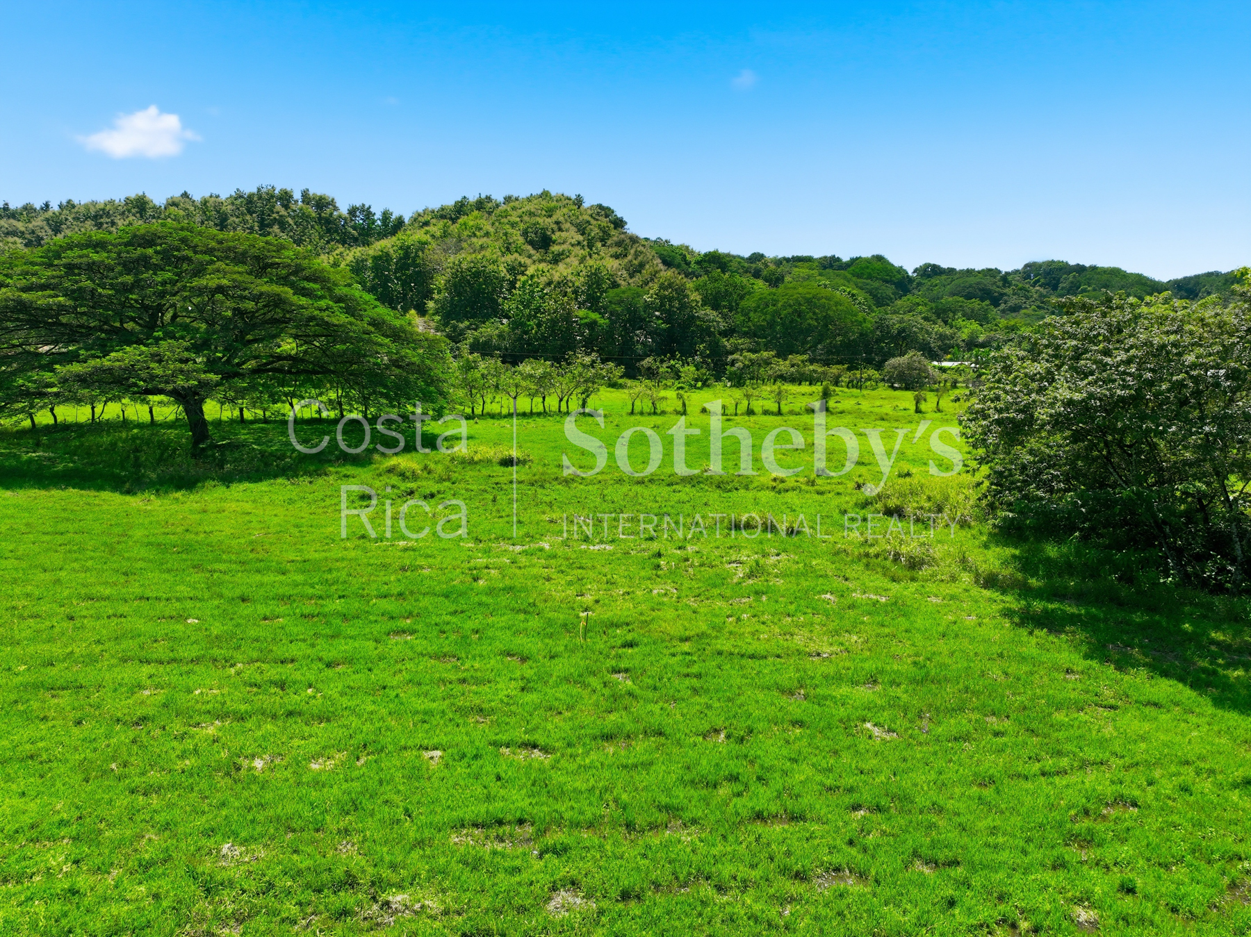 Nosara | Playa Garza