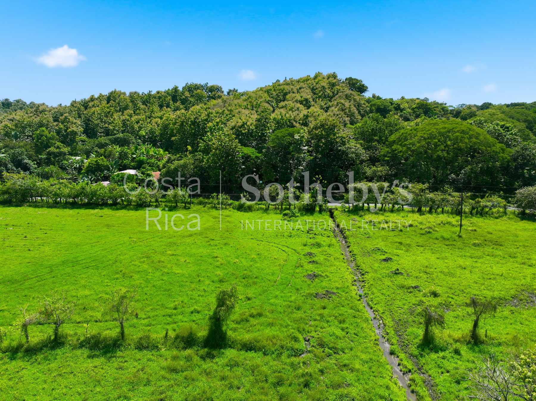 Nosara | Playa Garza