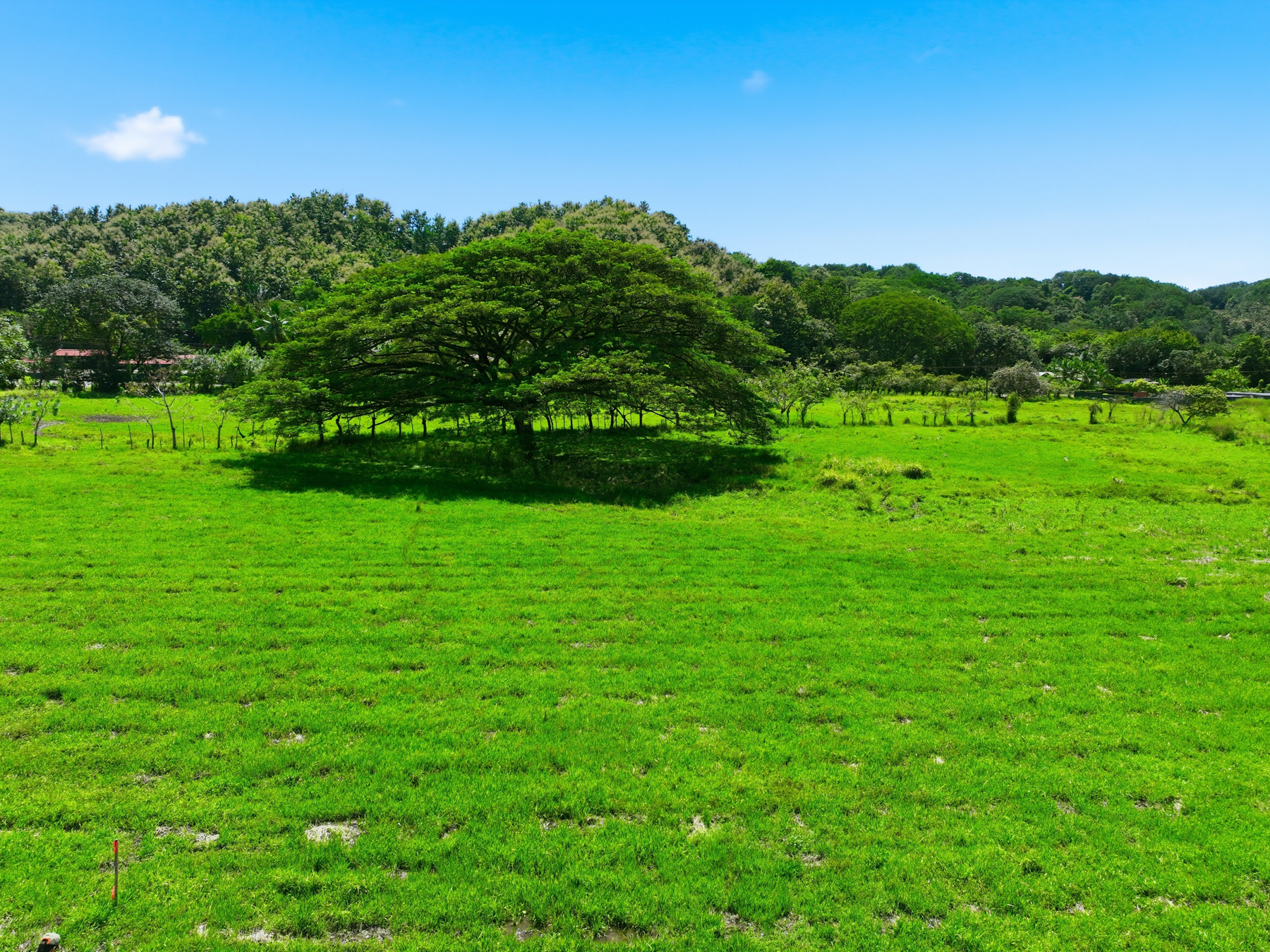 Nosara | Playa Garza